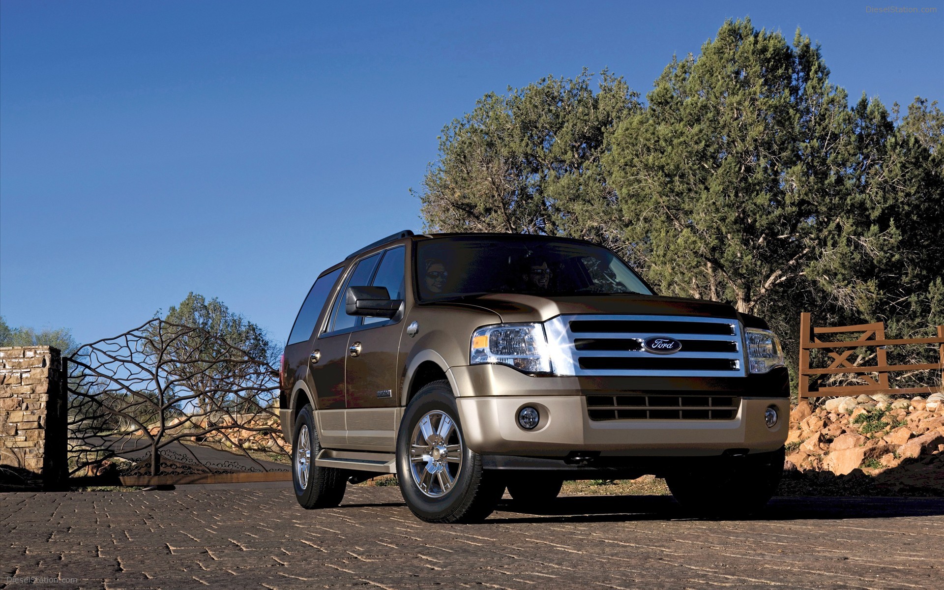 Ford Expedition 2009
