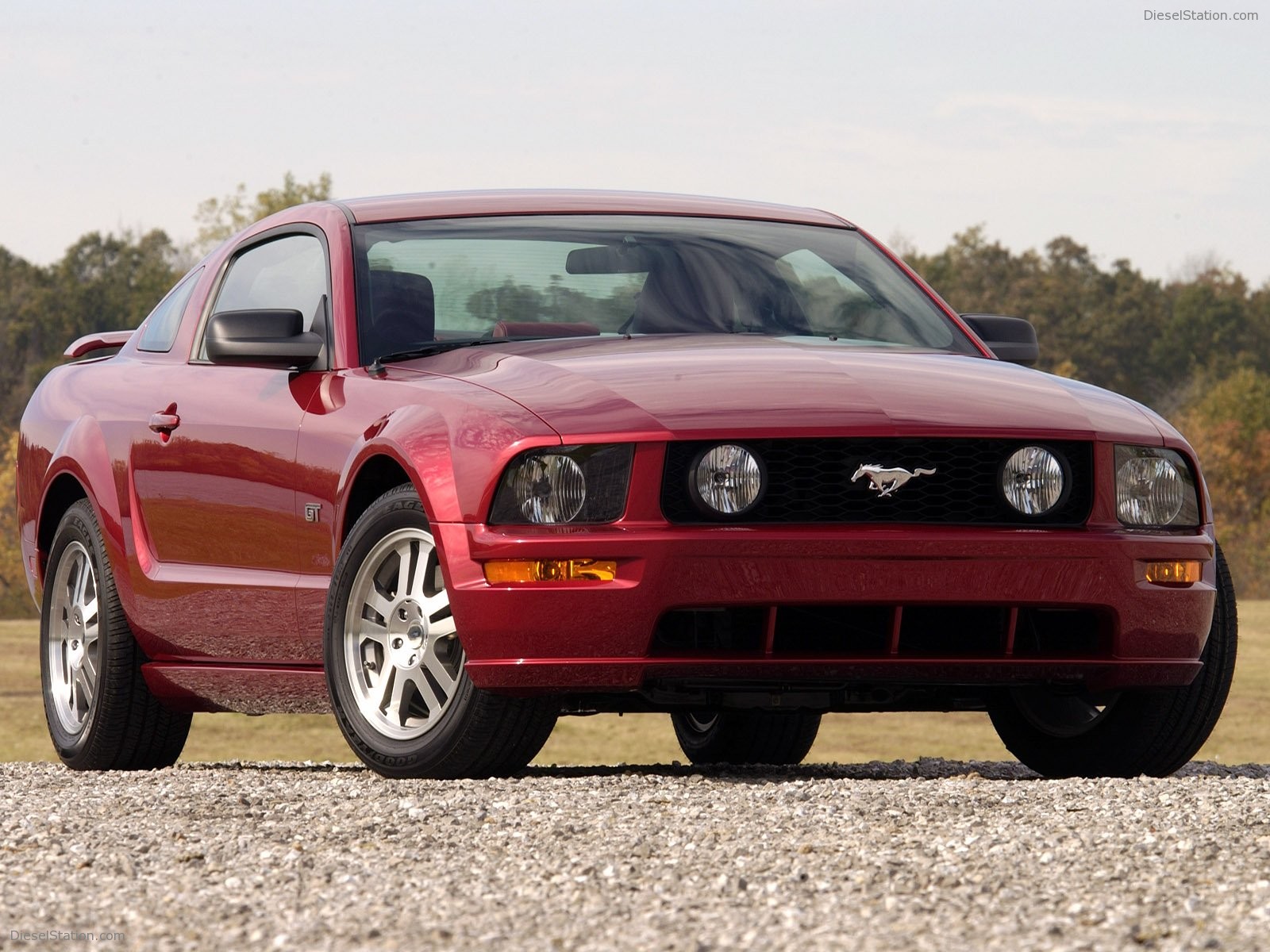 2005 Ford mustang car #3