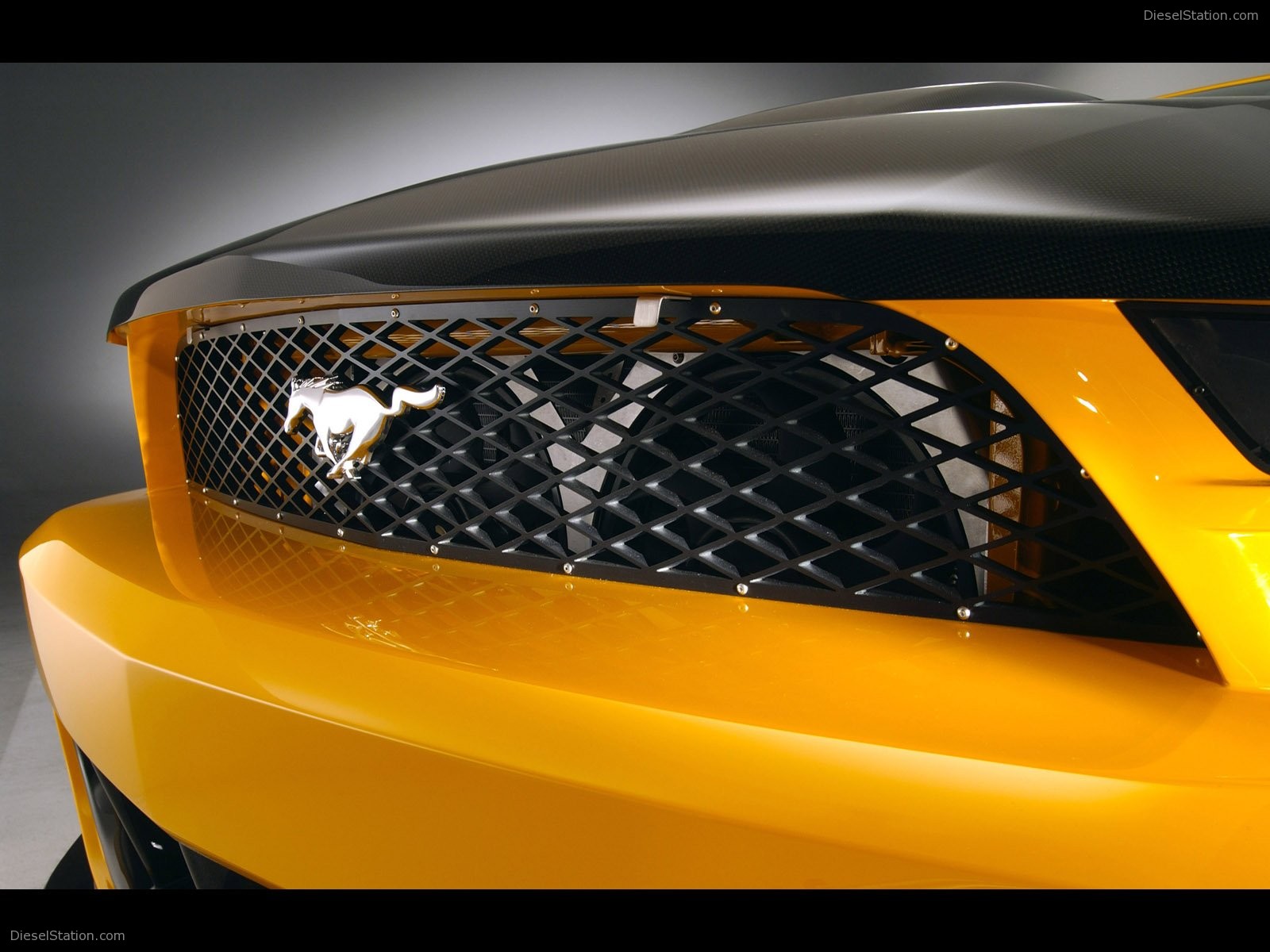 Ford mustang gtr concept tdu #4