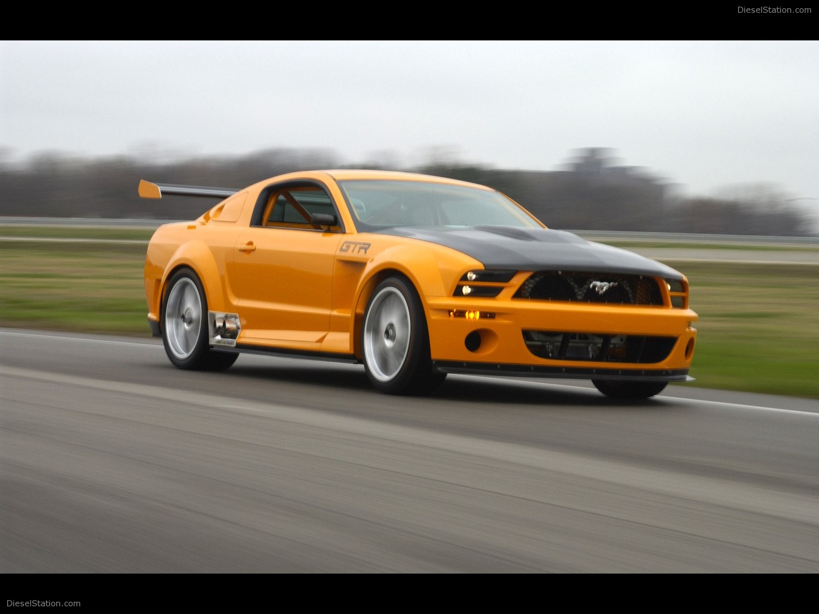 2005 Concept ford mustang #3