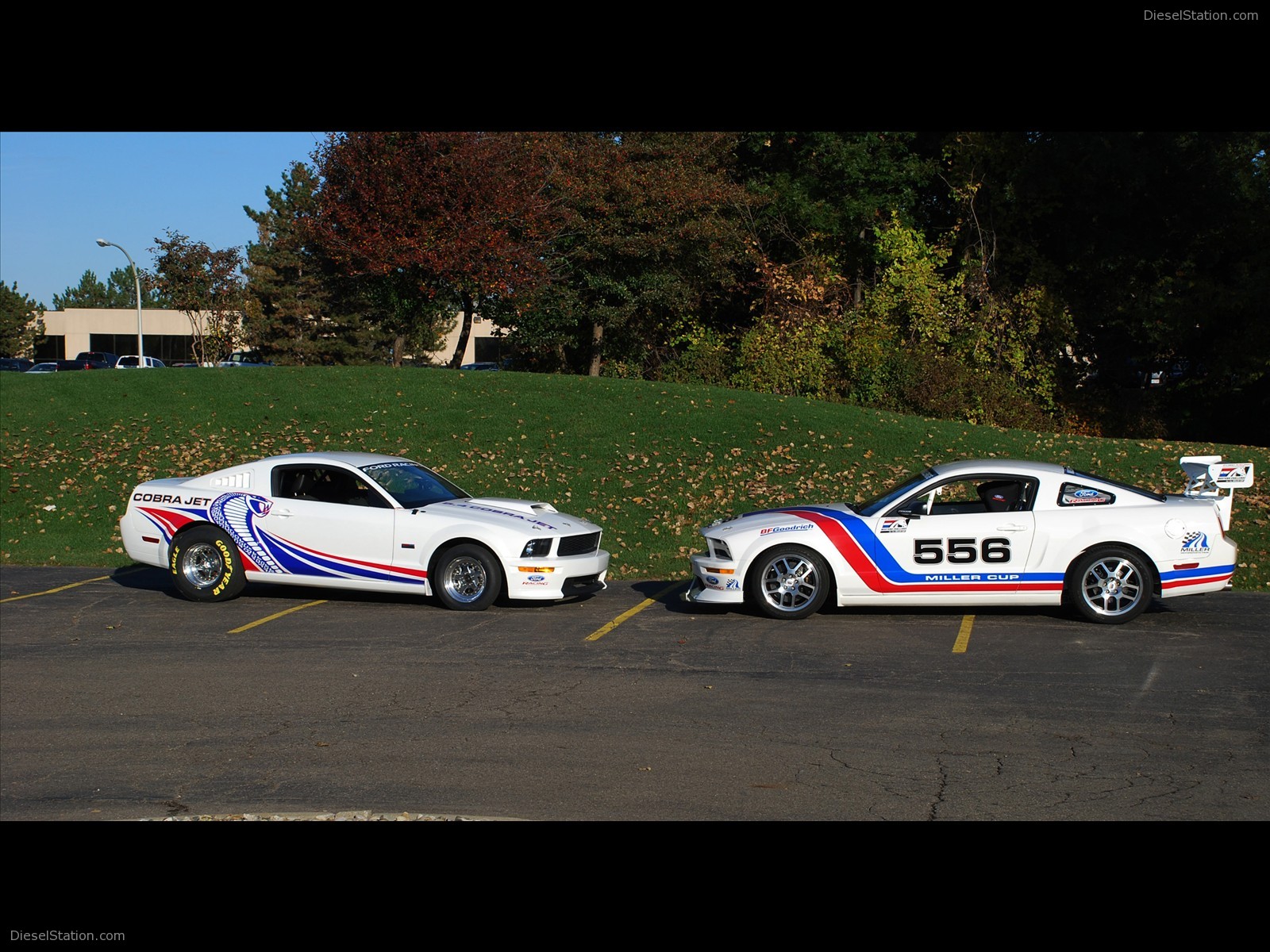 Ford Mustang FR500CJ Cobra Jet