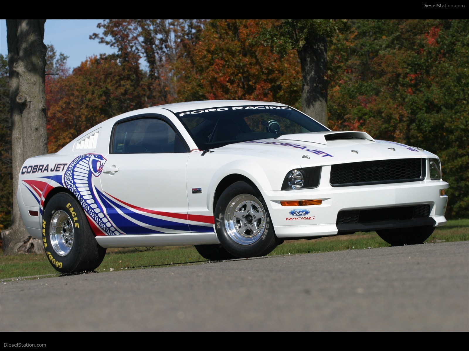 Ford Mustang FR500CJ Cobra Jet