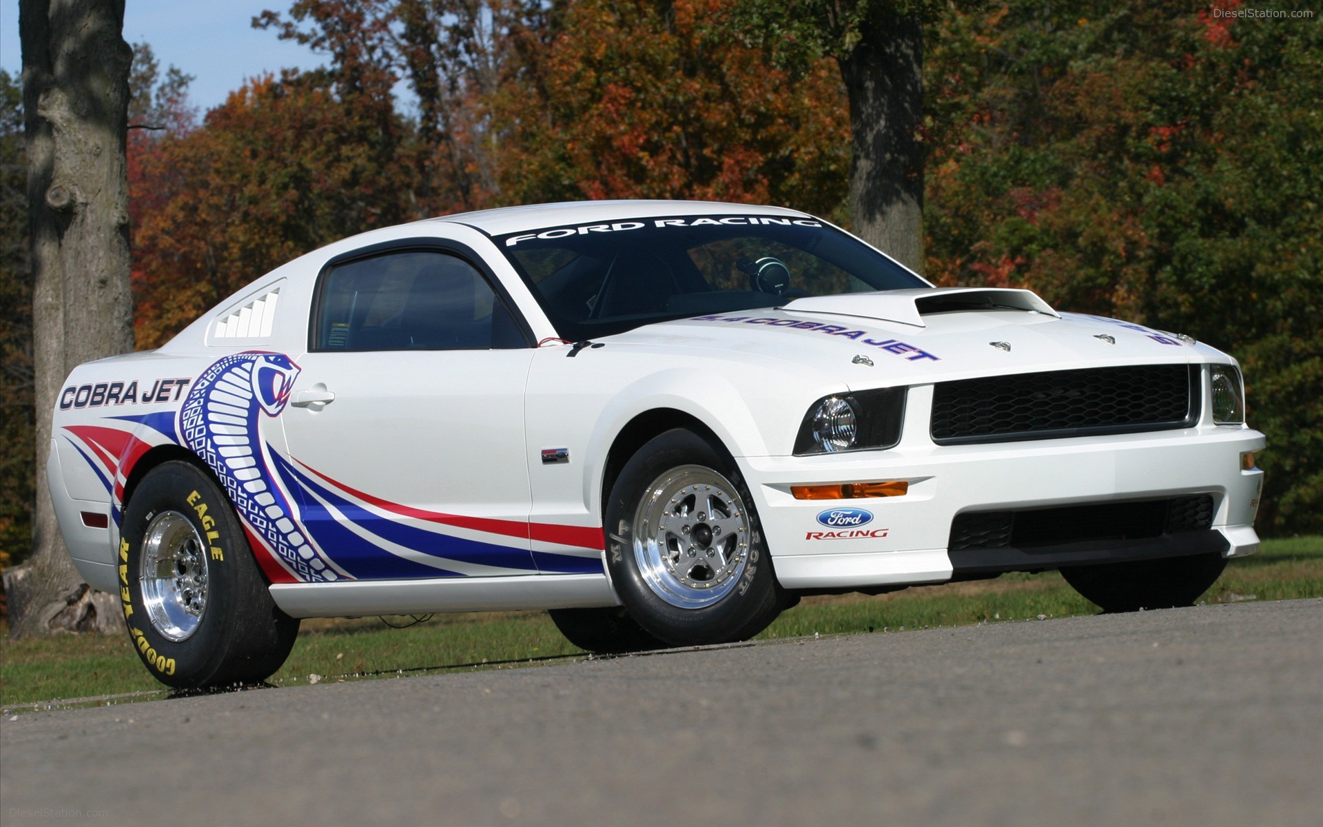 Ford Mustang FR500CJ Cobra Jet