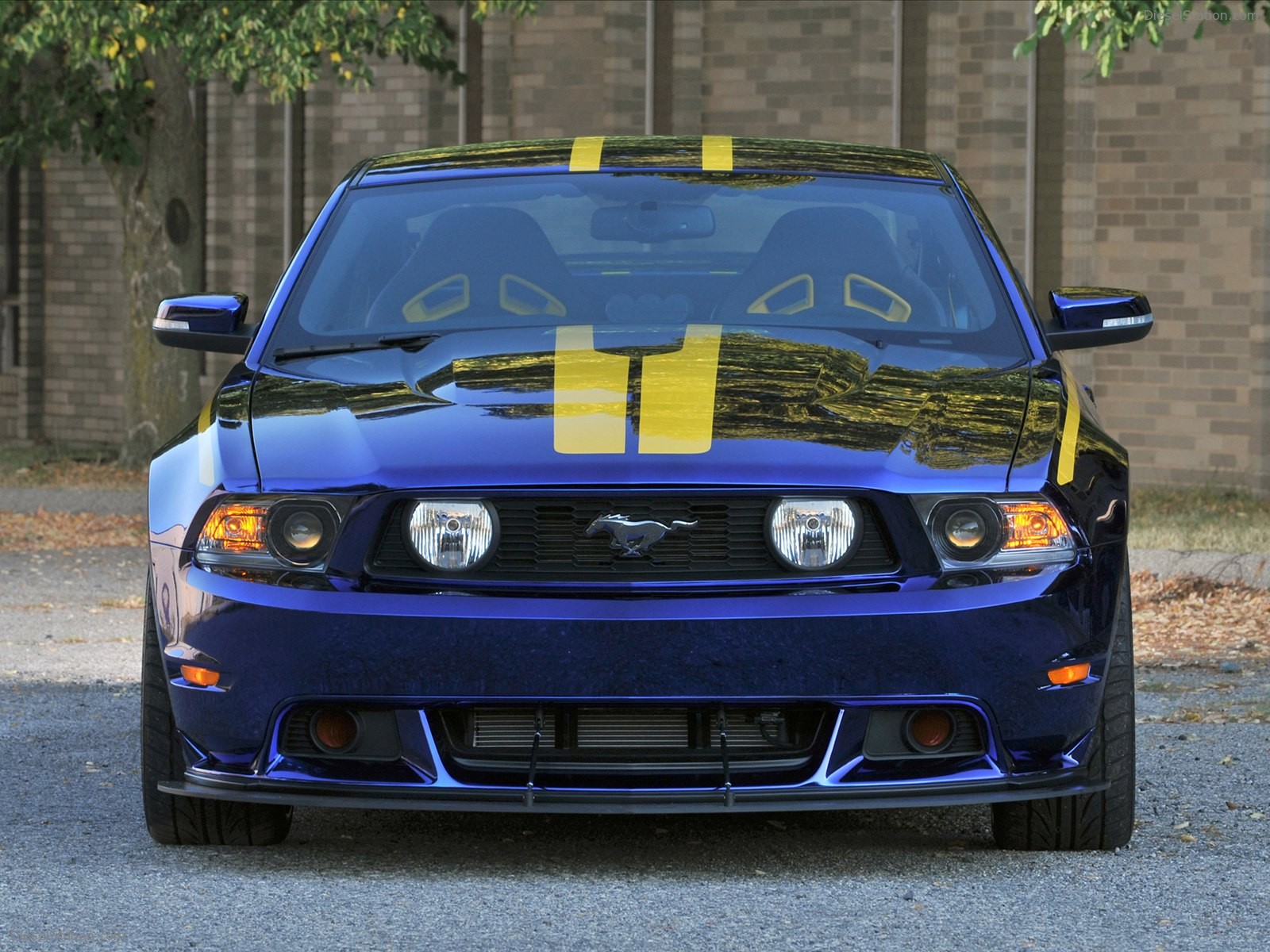 Ford Mustang GT Blue Angels Edition 2012 Ford Mustang GT Blue Angels Edition 2012