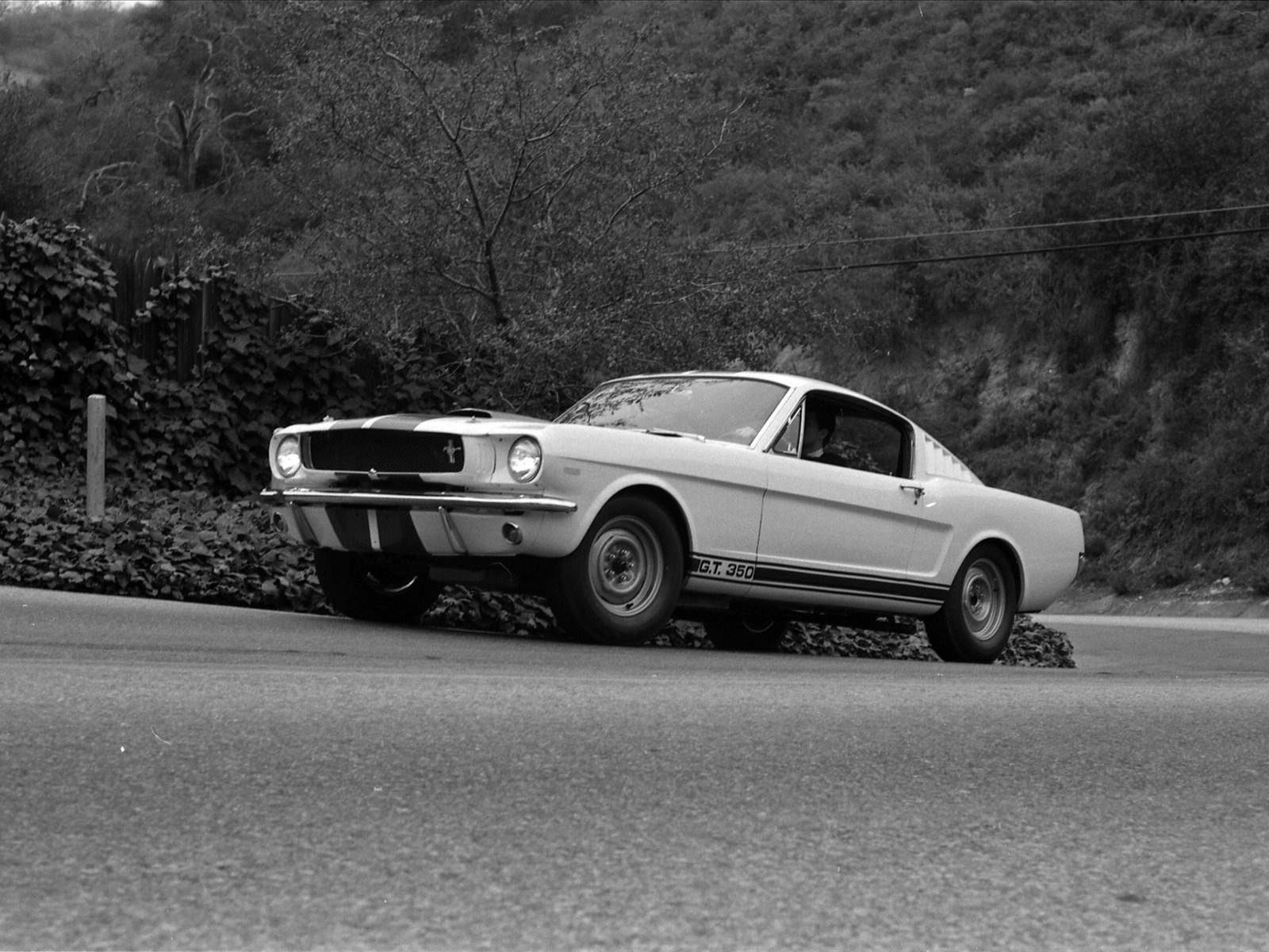 Ford Shelby GT350 Mustang 1964
