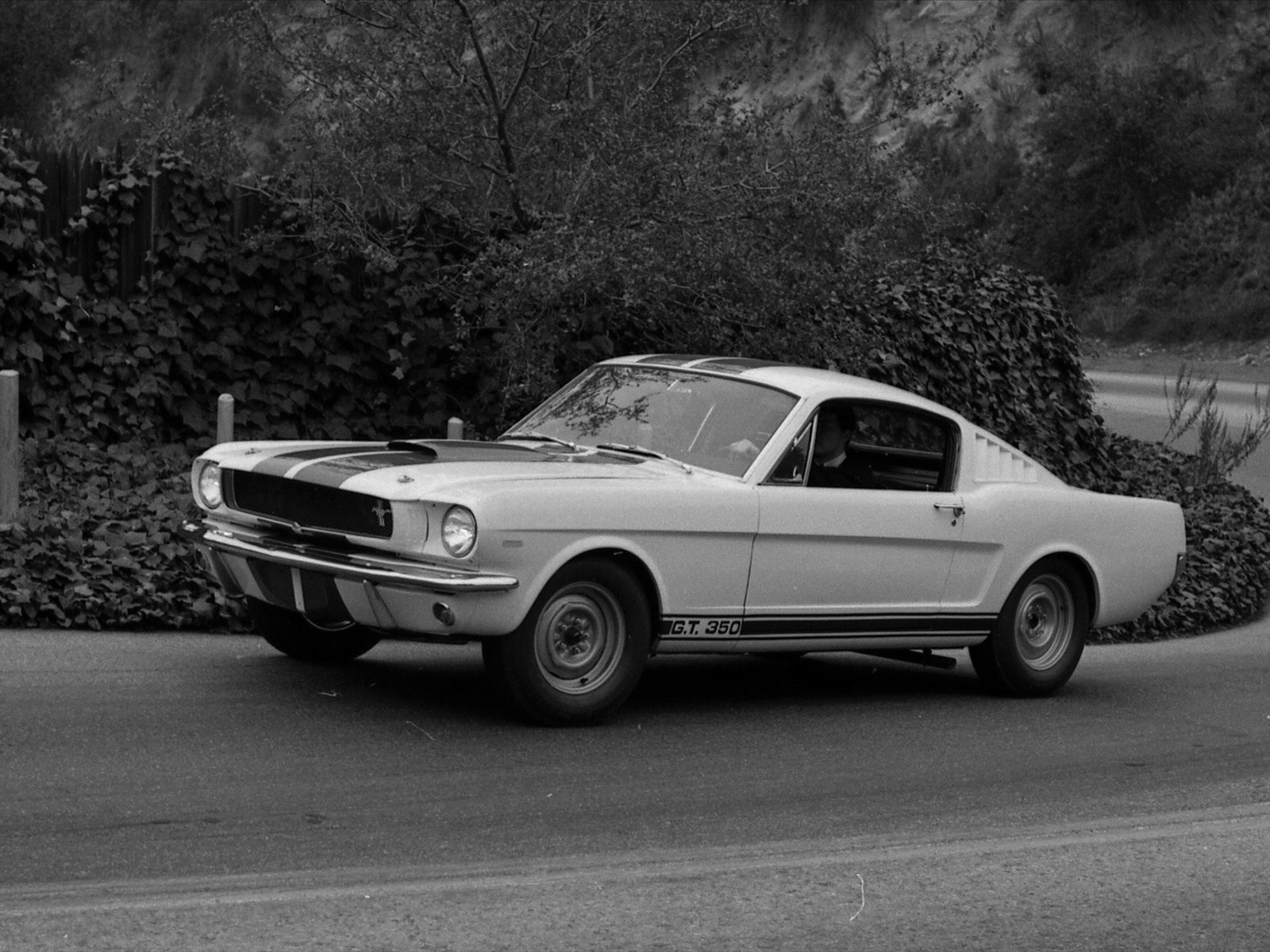 Ford Shelby GT350 Mustang 1964