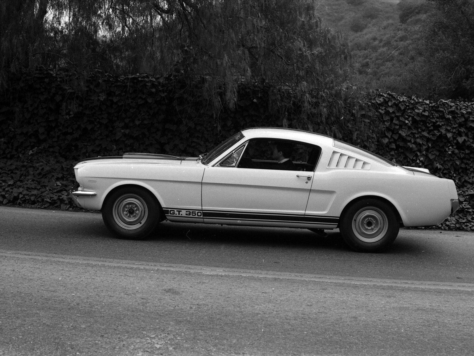 Ford Shelby GT350 Mustang 1964