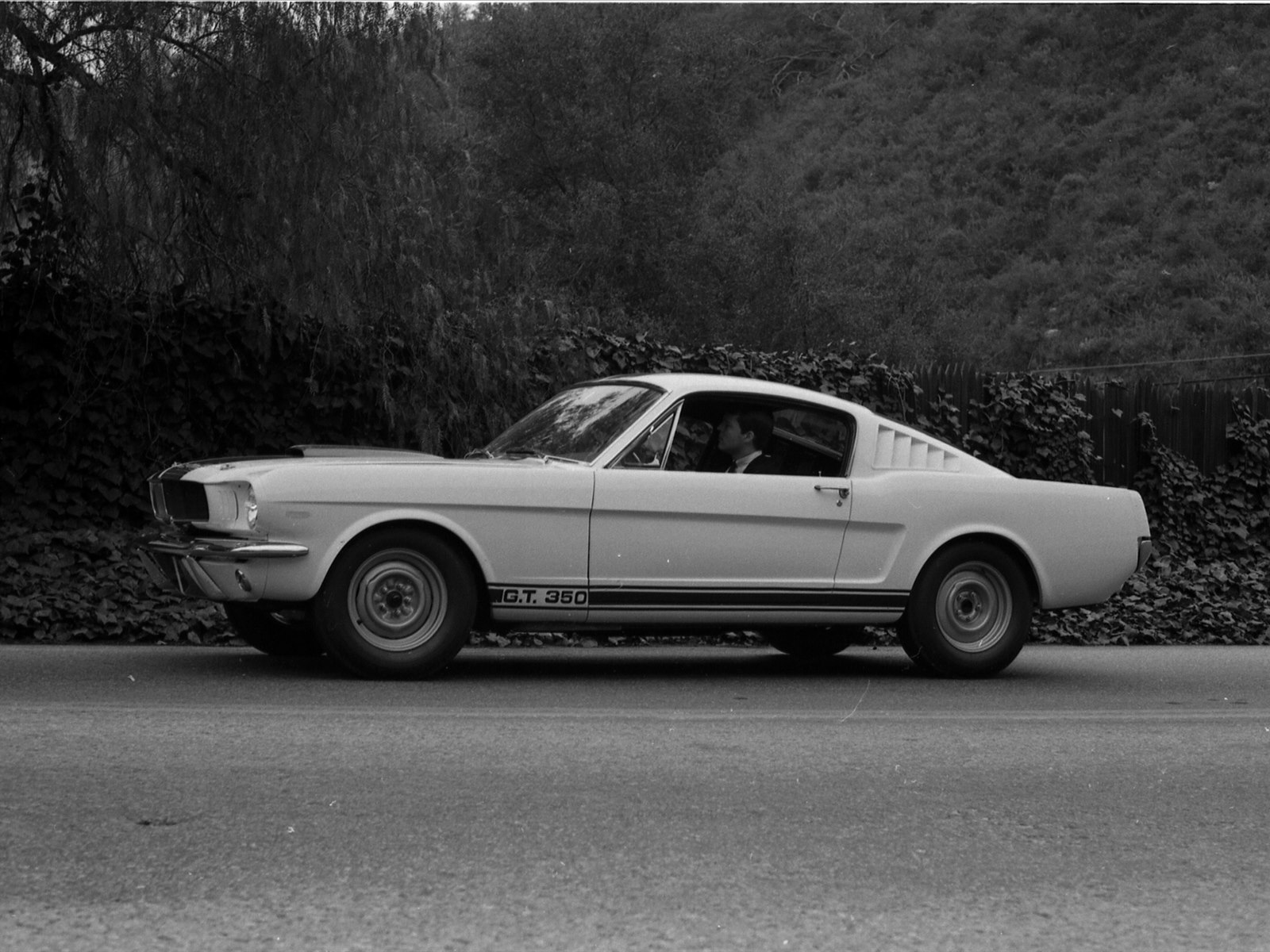 1964 Ford shelby #6