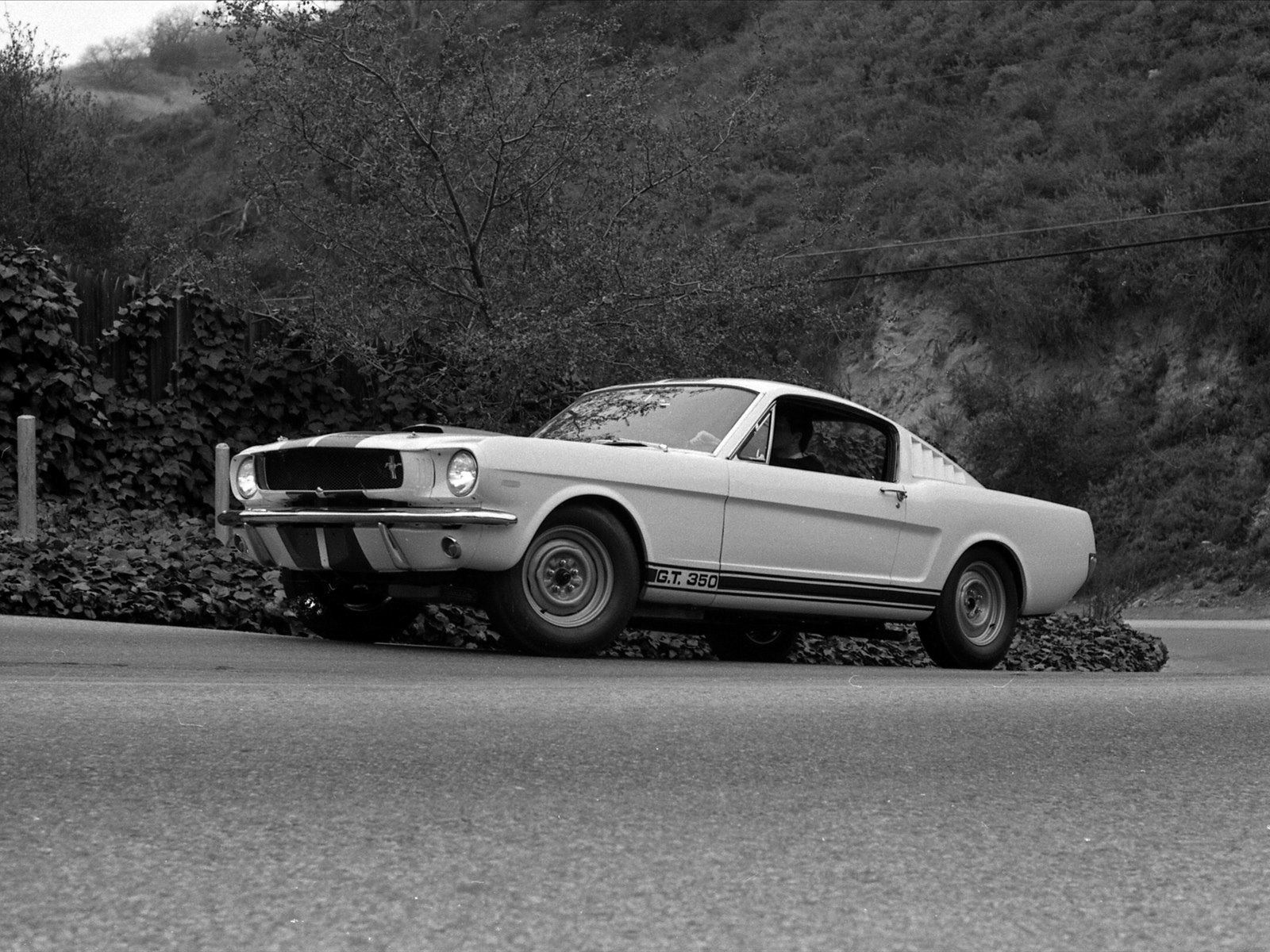Ford Shelby GT350 Mustang 1964