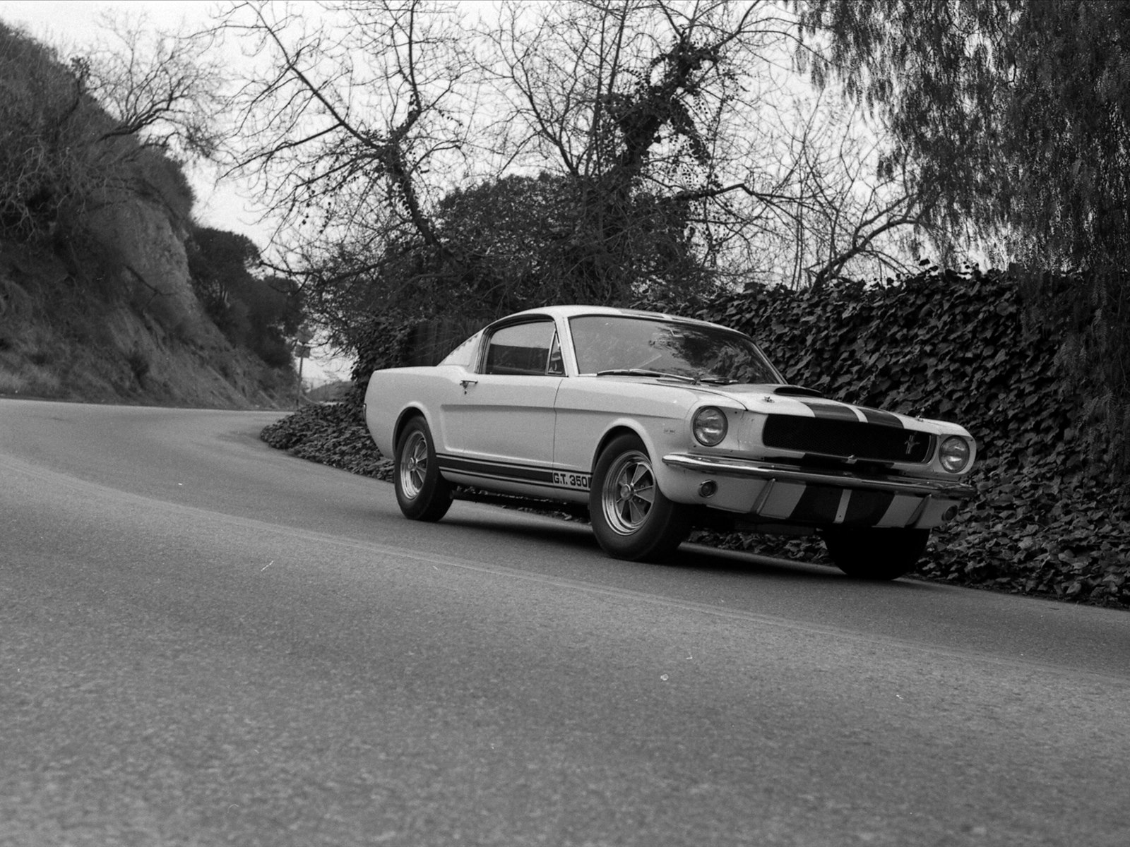 Ford Shelby GT350 Mustang 1964
