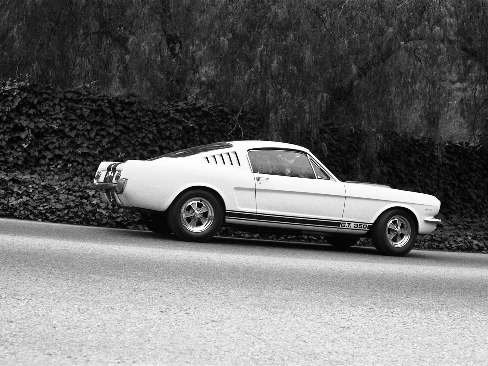 Ford Shelby GT350 Mustang 1964