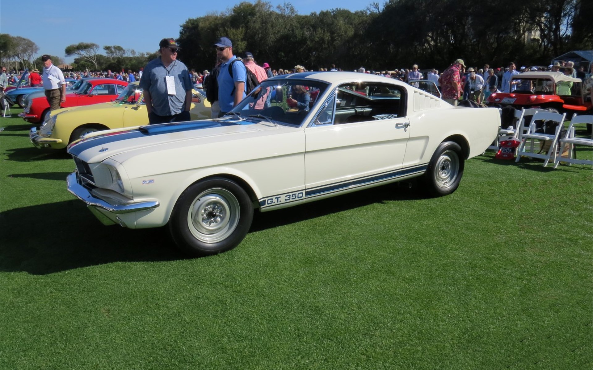 1964 Ford shelby #3