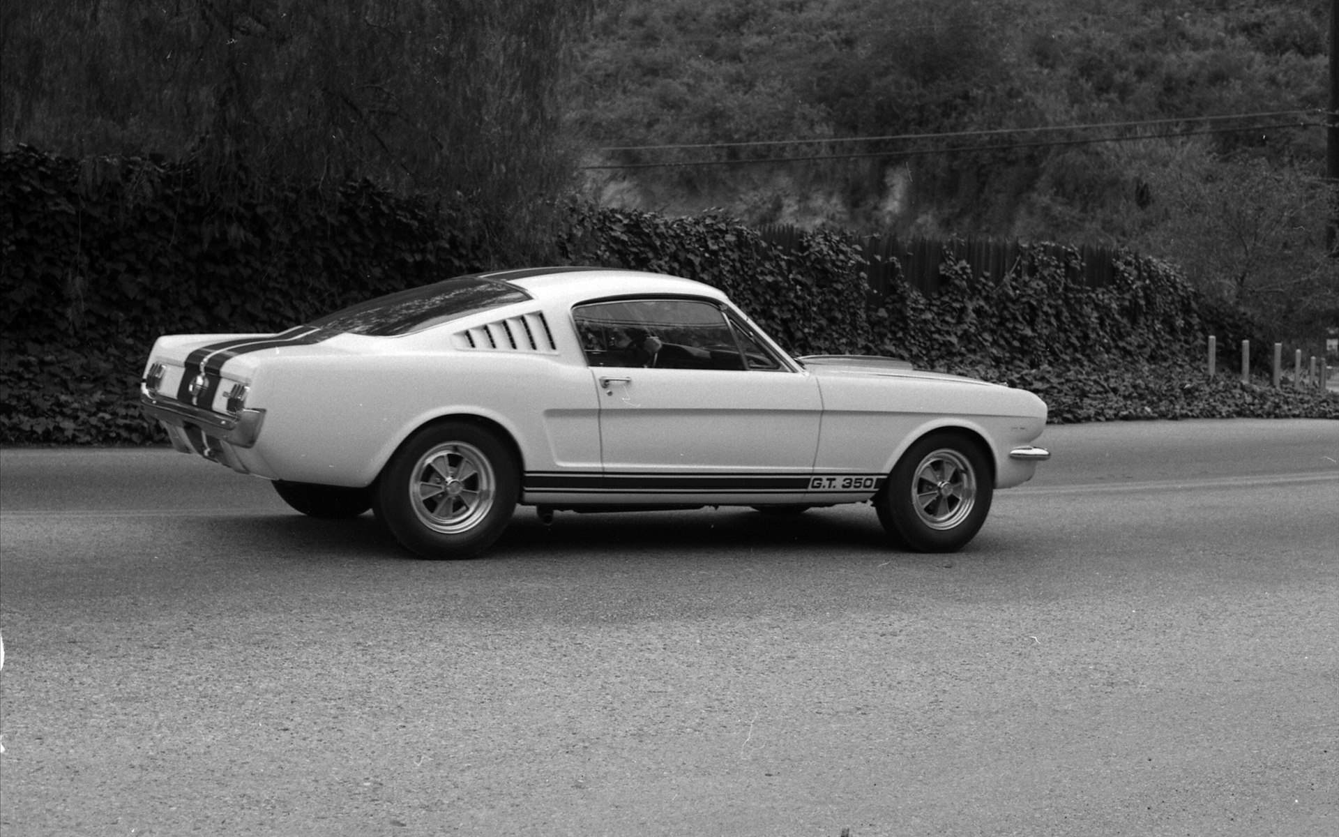 Ford Shelby GT350 Mustang 1964