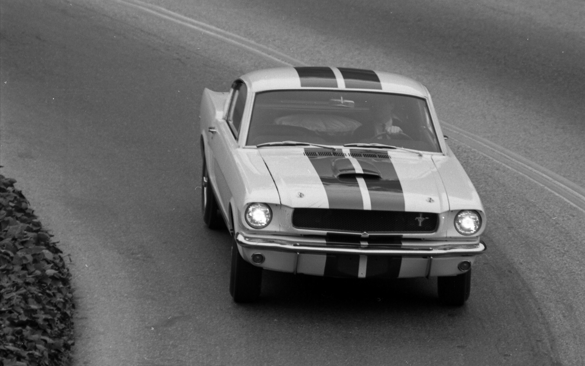 Ford Shelby GT350 Mustang 1964