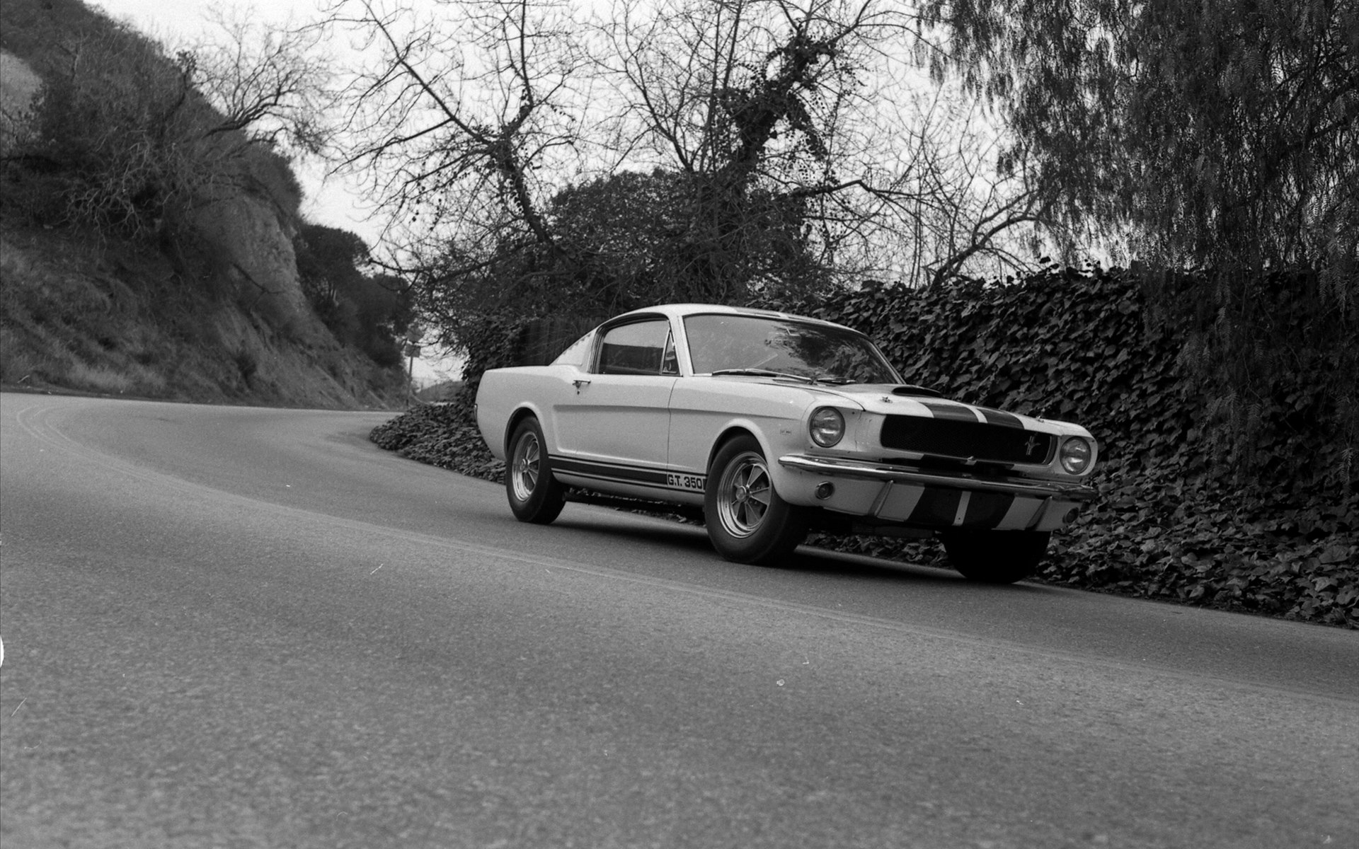 Ford Shelby GT350 Mustang 1964