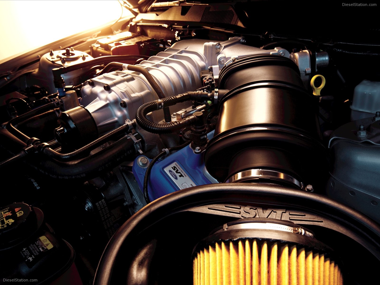 Ford Shelby GT500 2012