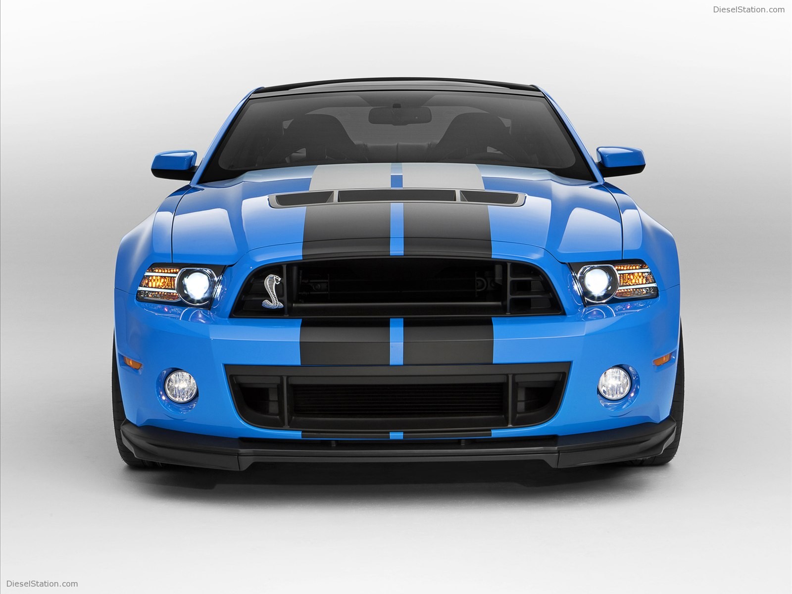 Ford Shelby GT500 2013