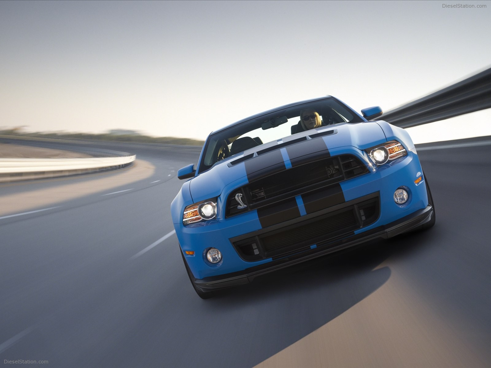 Ford Shelby GT500 2013
