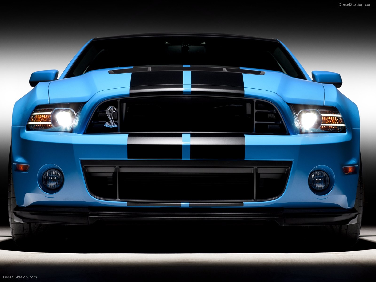 Ford Shelby GT500 2013