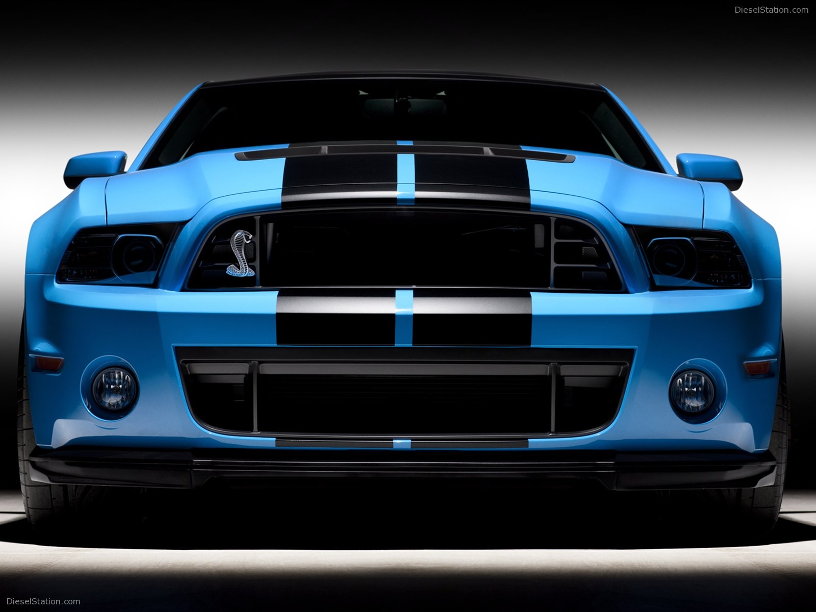 Ford Shelby GT500 2013