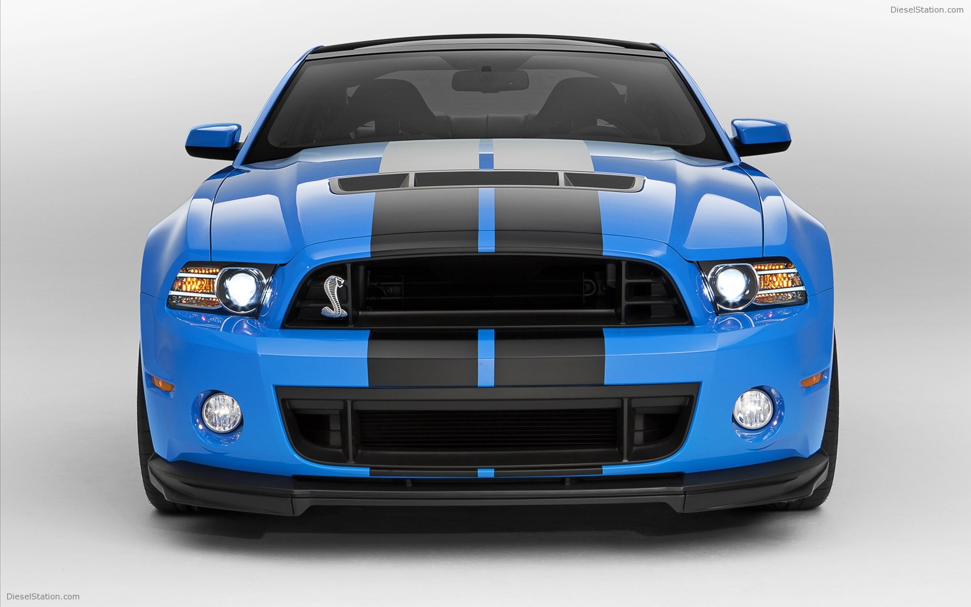 Ford Shelby GT500 2013