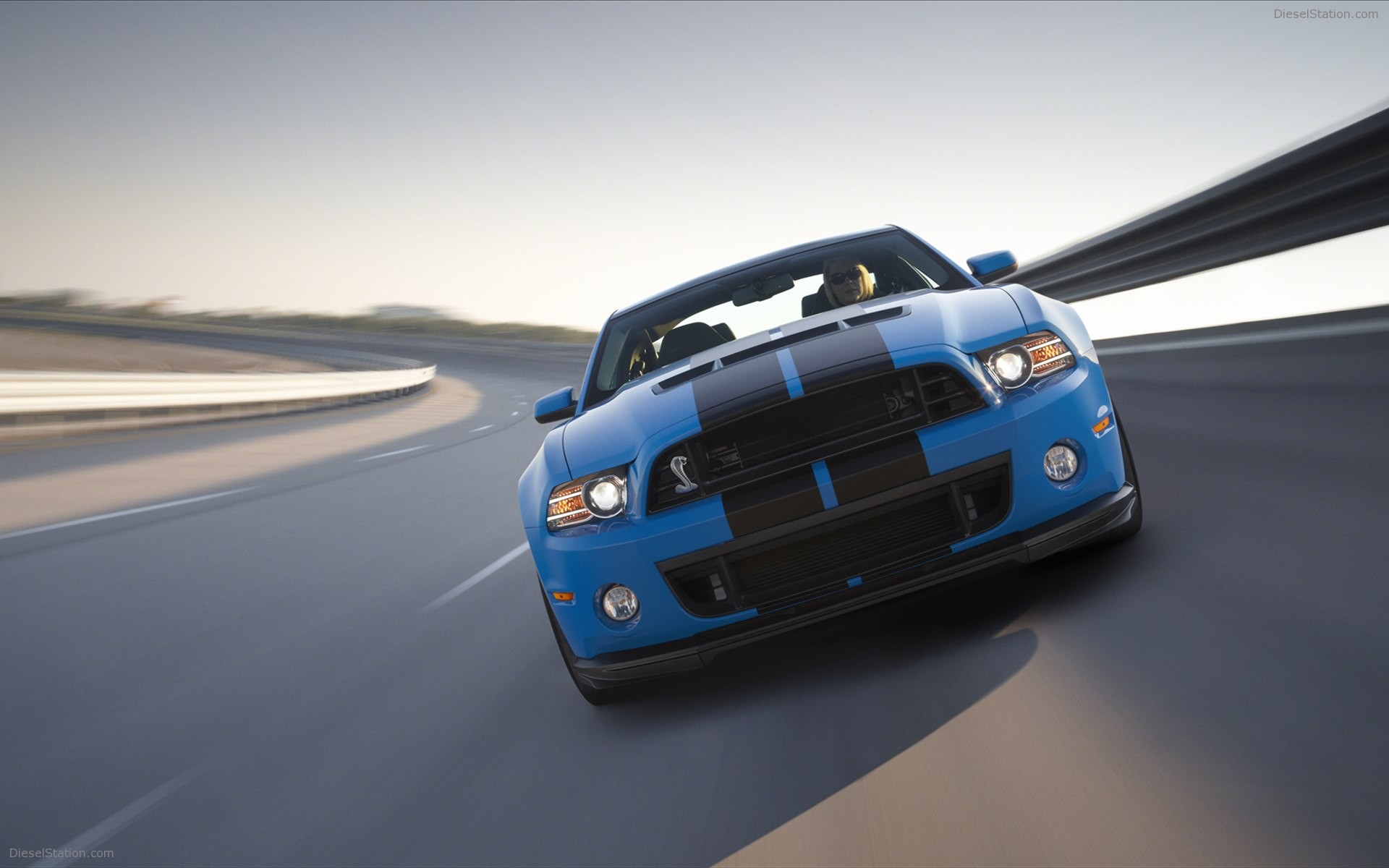 Ford Shelby GT500 2013