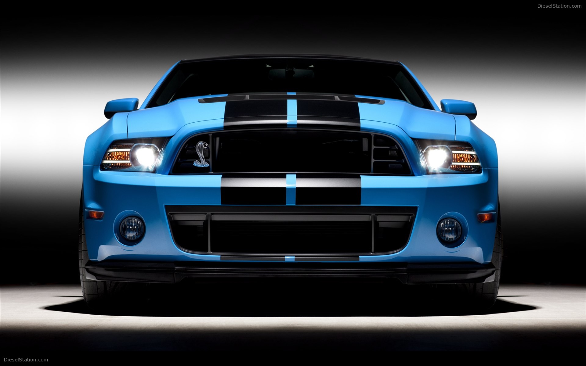 Ford Shelby GT500 2013