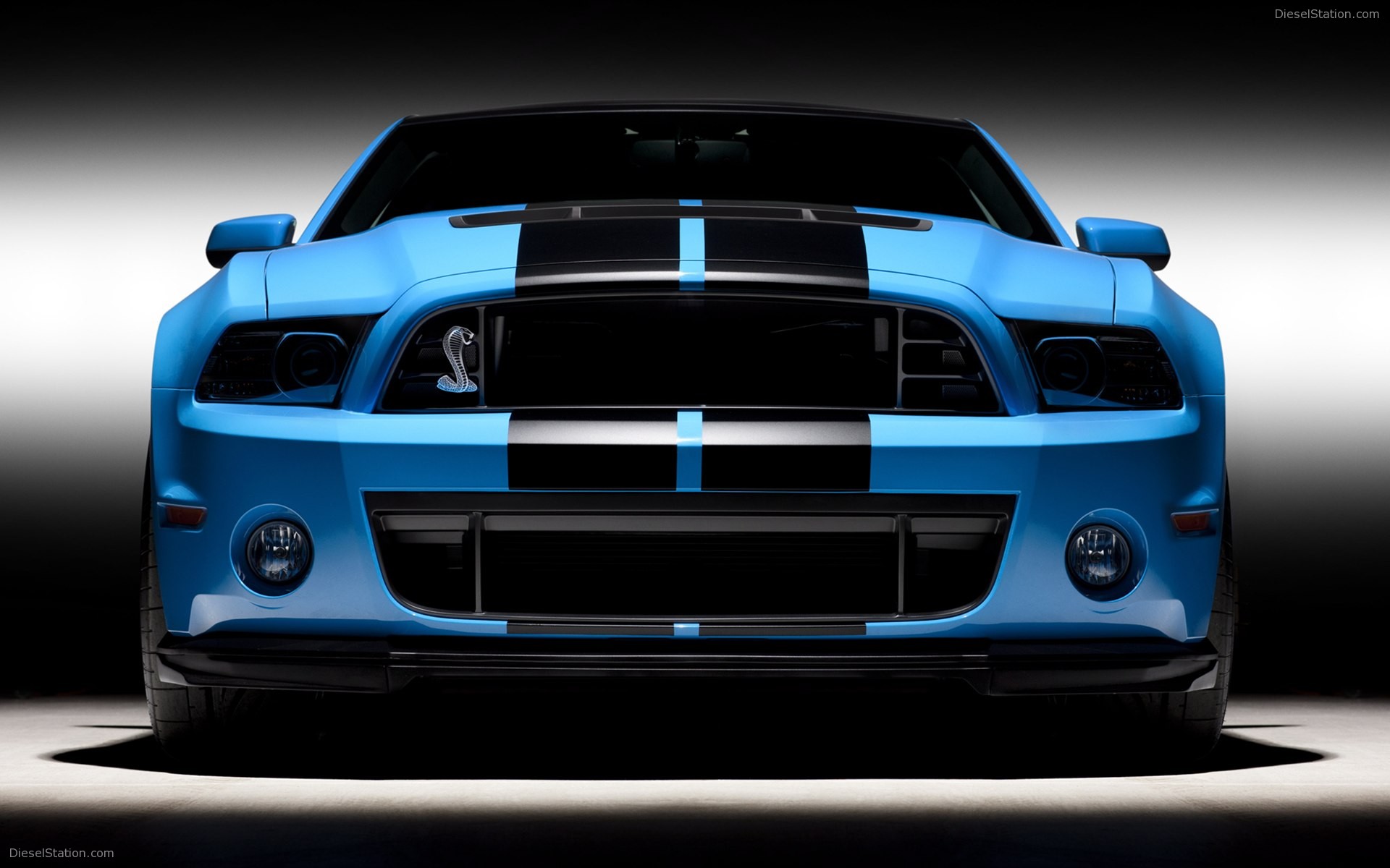 Ford Shelby GT500 2013