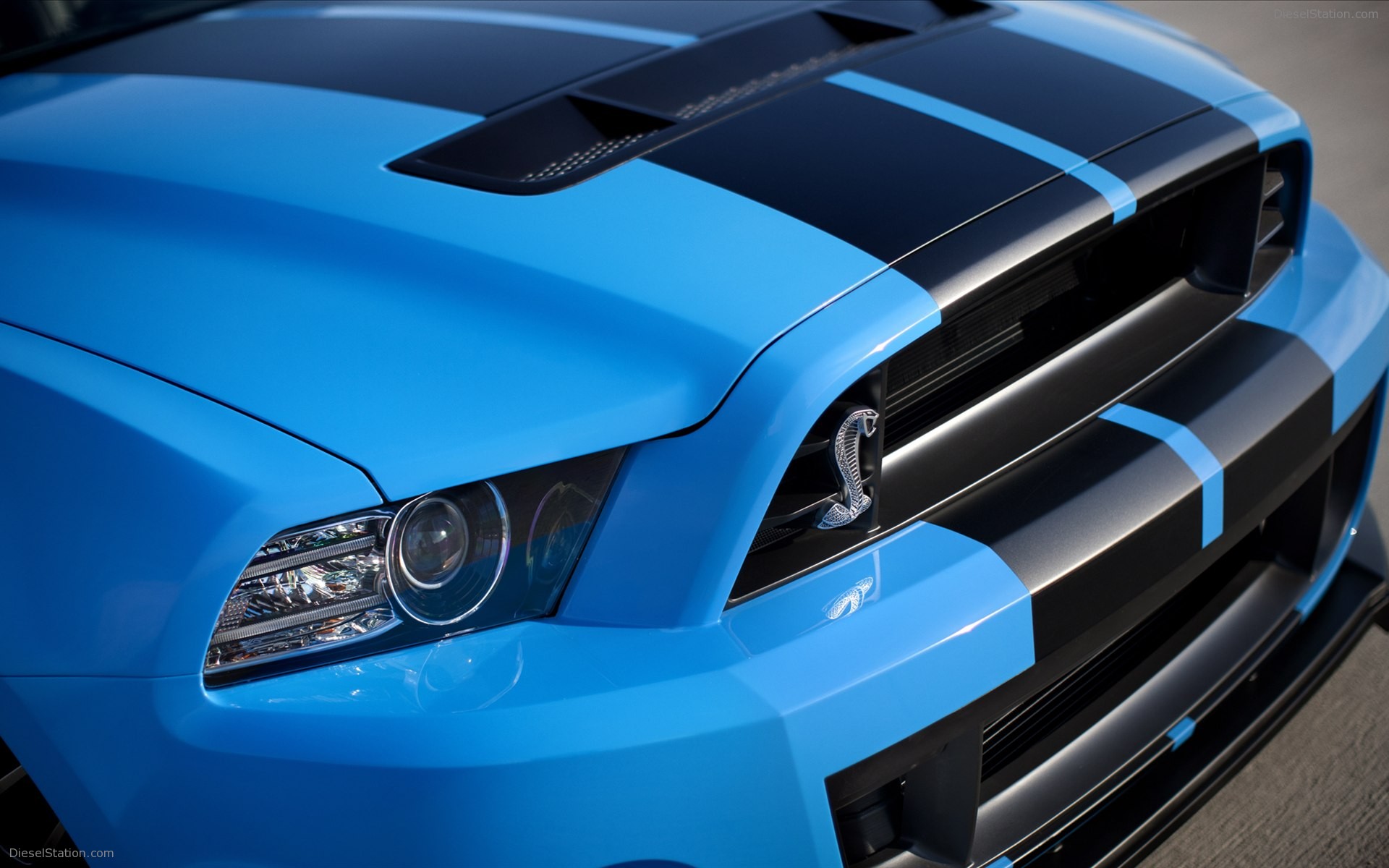 Ford Shelby GT500 2013