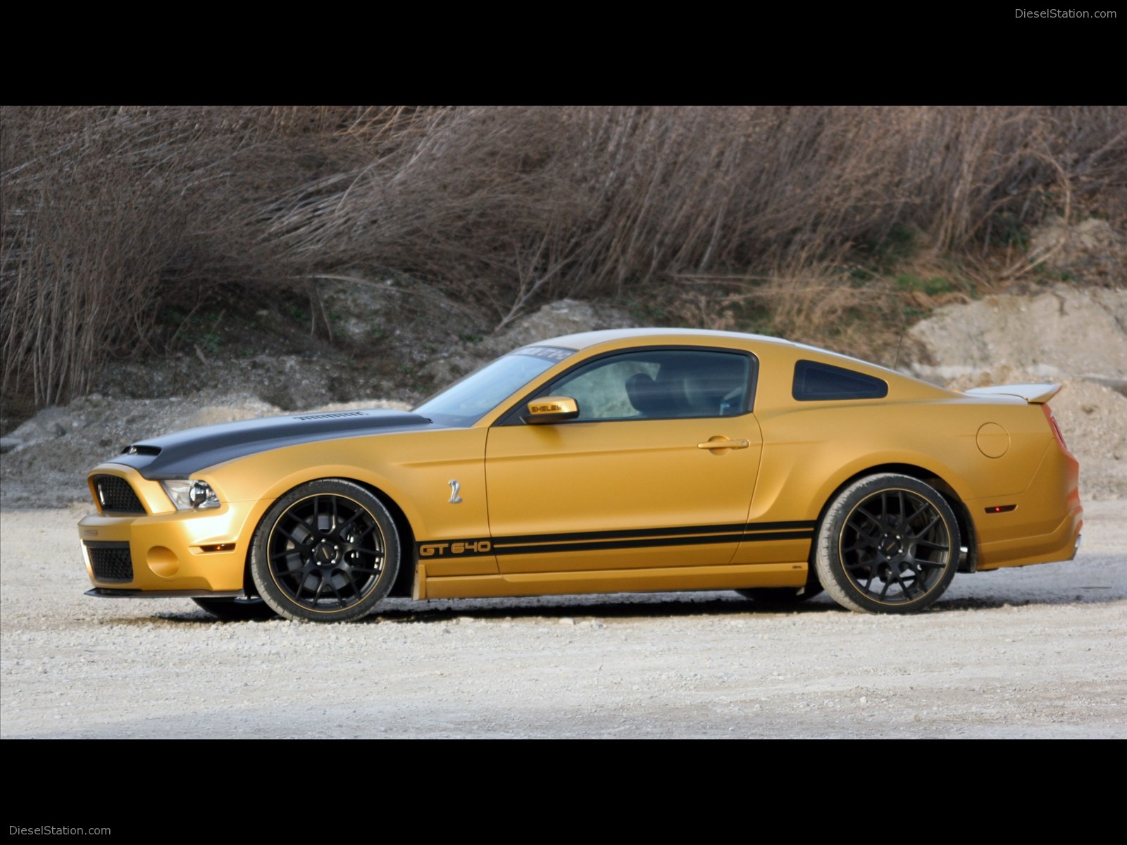 Ford Mustang Shelby GT650 2011 by Geigercars.de Ford Mustang Shelby GT650 2011 by Geigercars.de