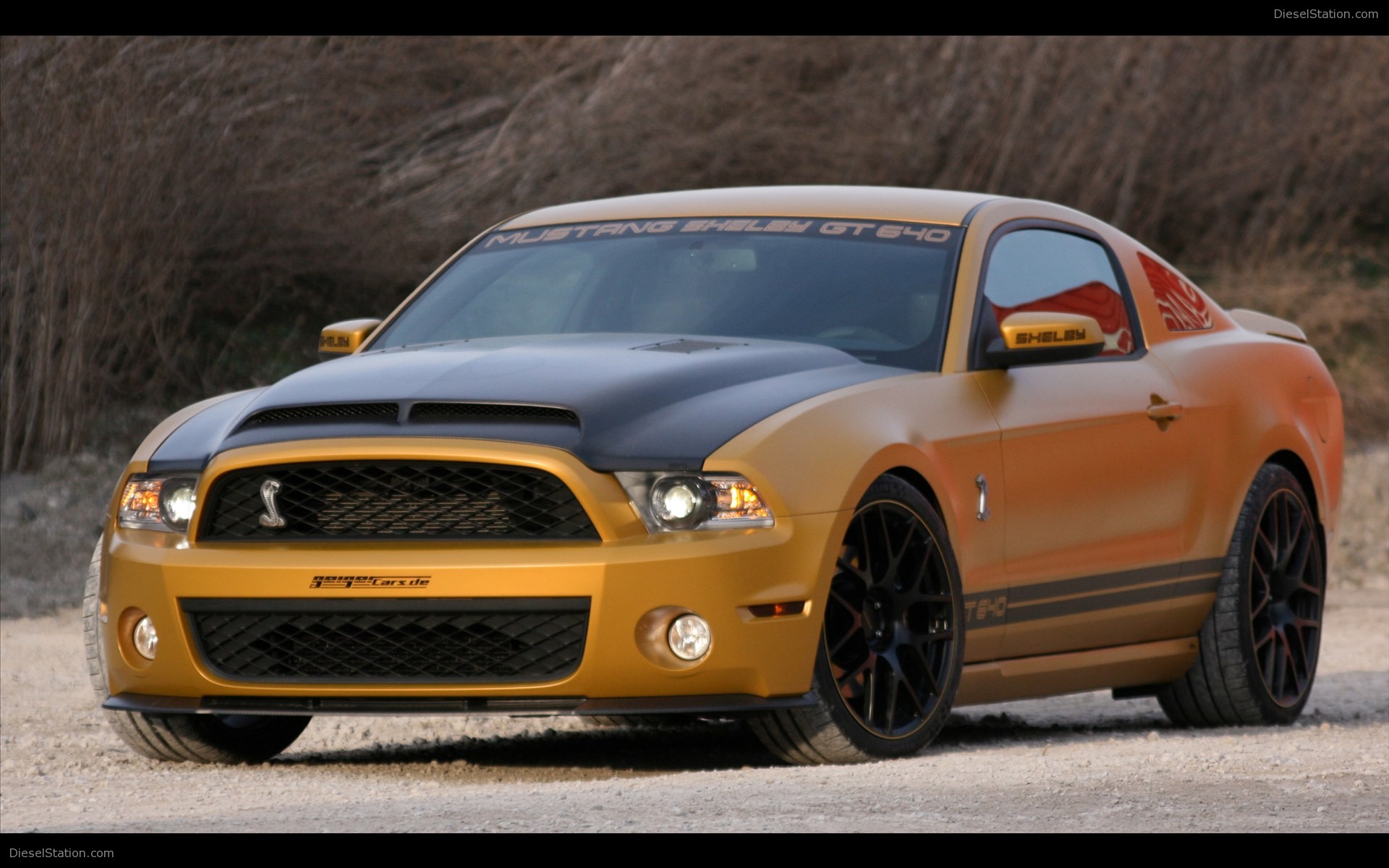 Ford Mustang Shelby GT650 2011 by Geigercars.de Ford Mustang Shelby GT650 2011 by Geigercars.de