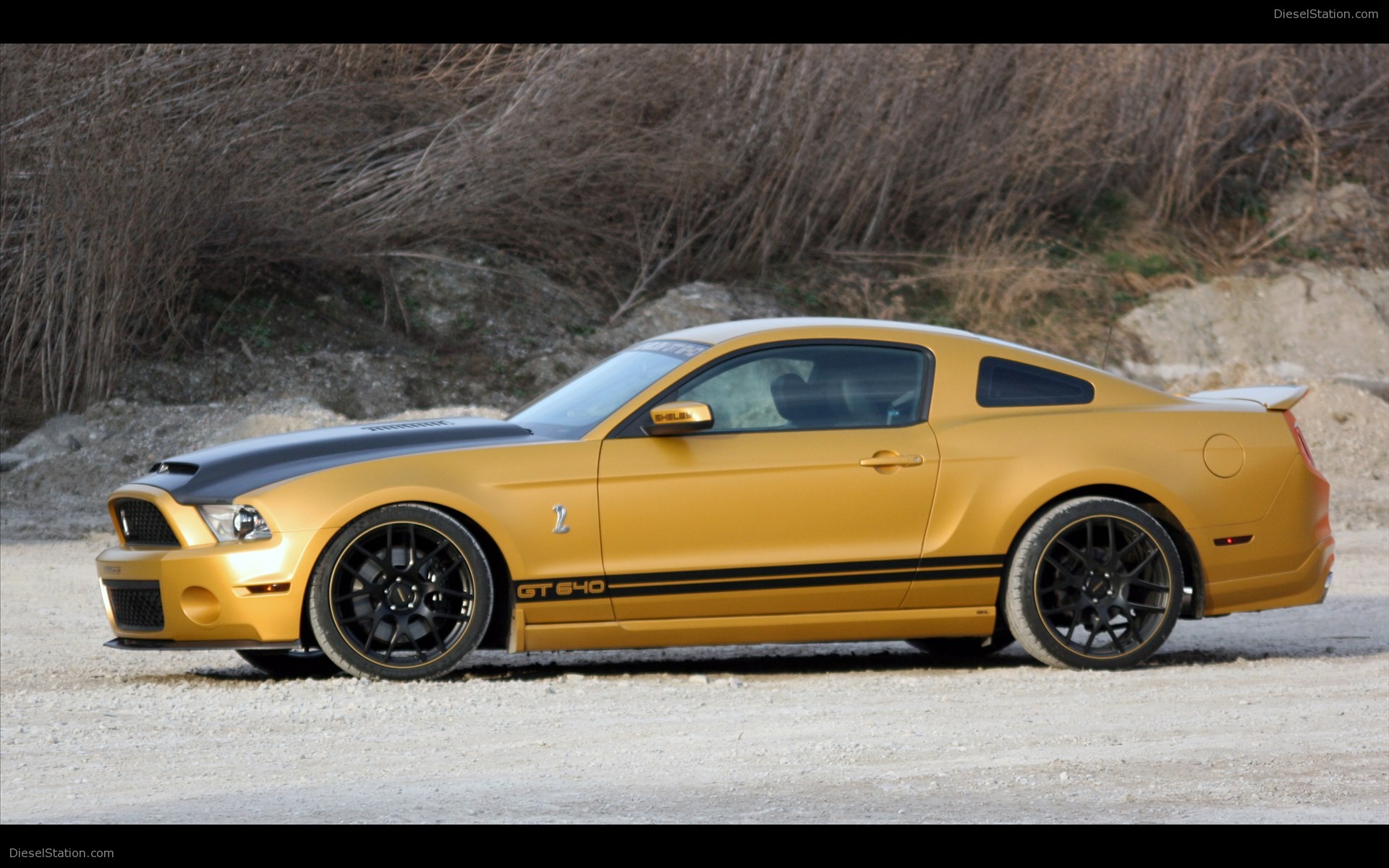 Ford Mustang Shelby GT650 2011 by Geigercars.de