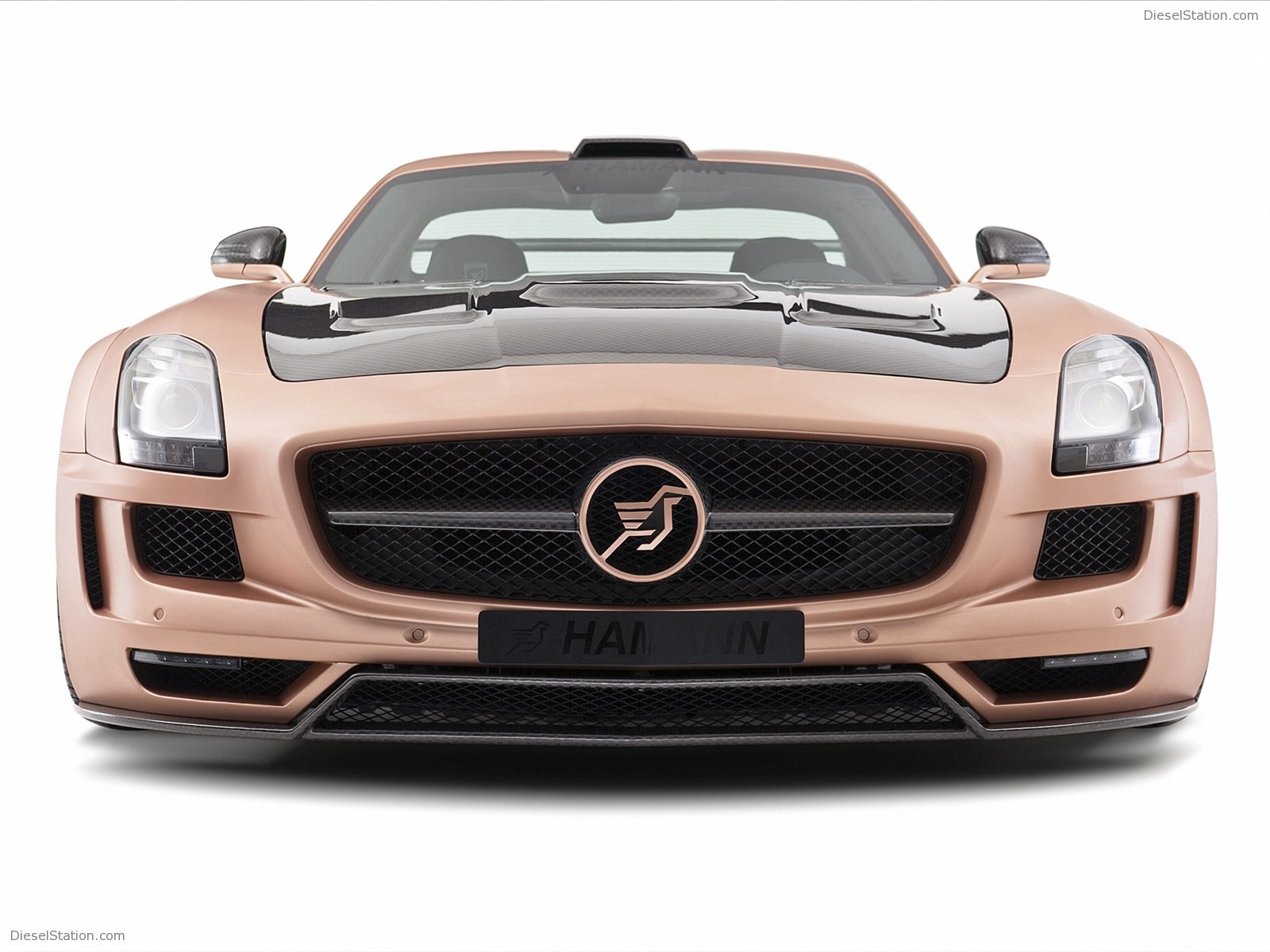 Hamann Hawk 2011