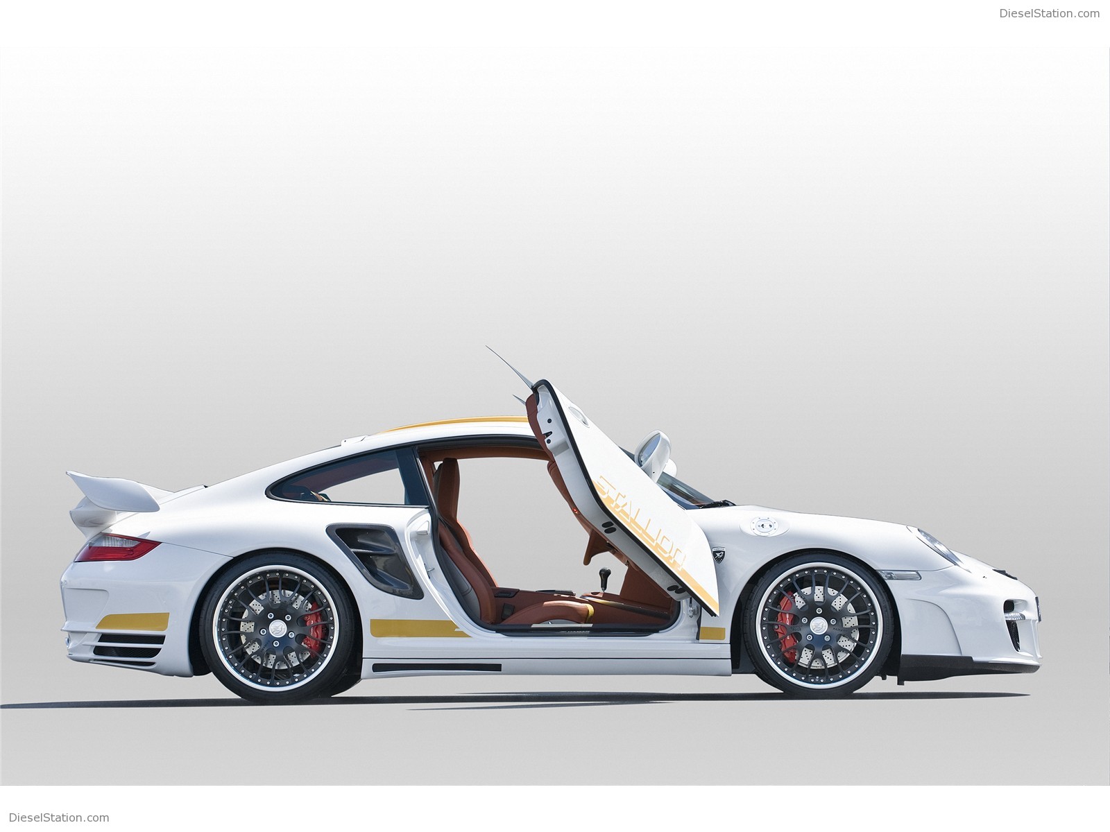 Hamann Stallion