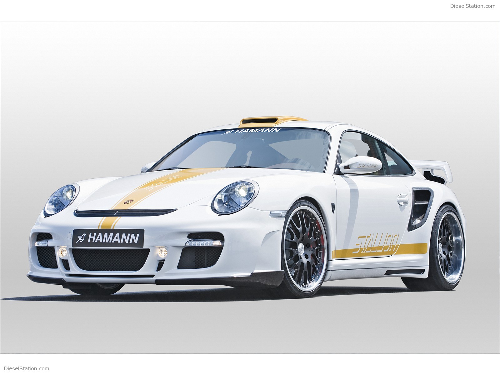 Hamann Stallion