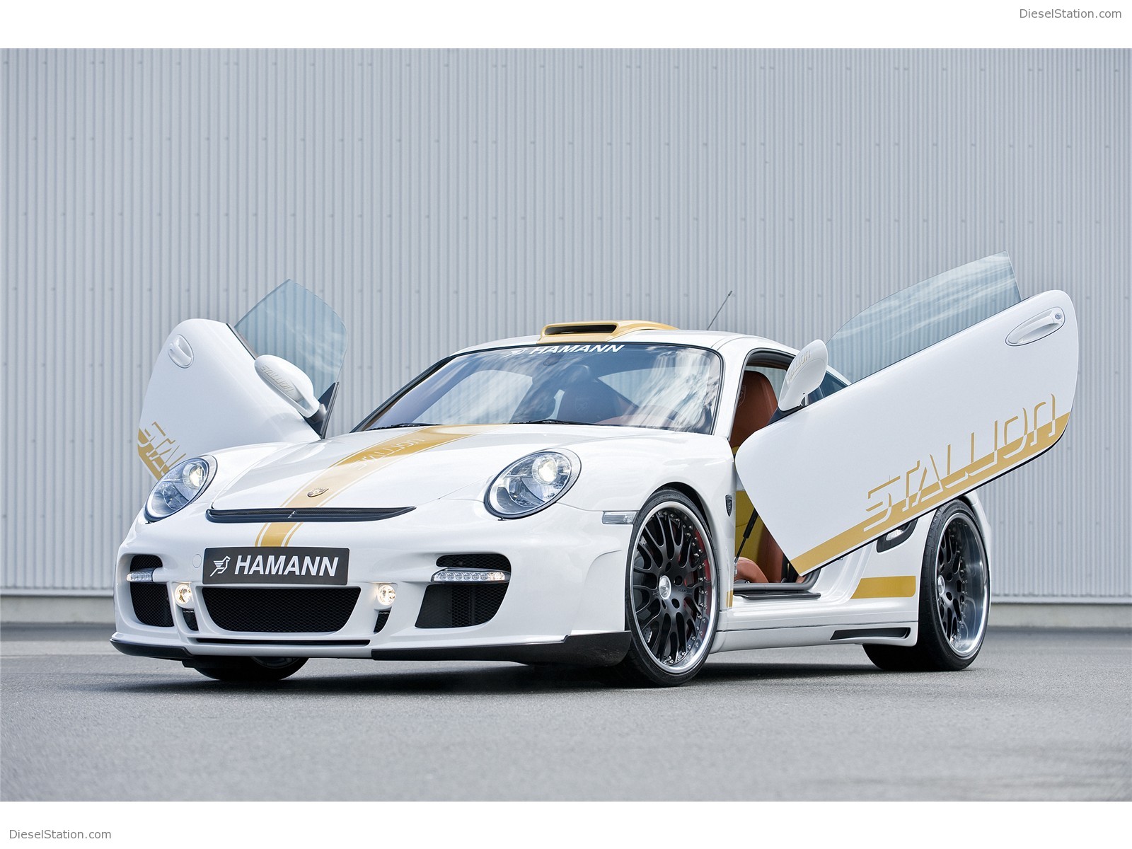 Hamann Stallion