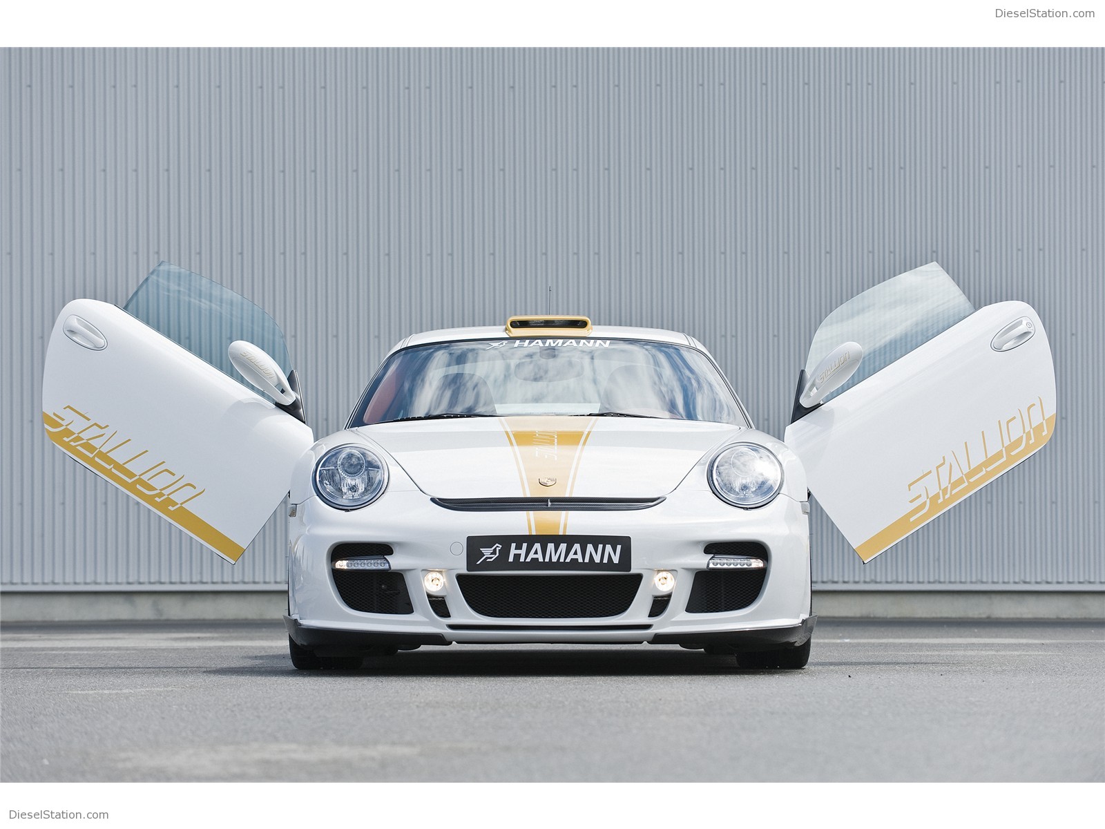 Hamann Stallion