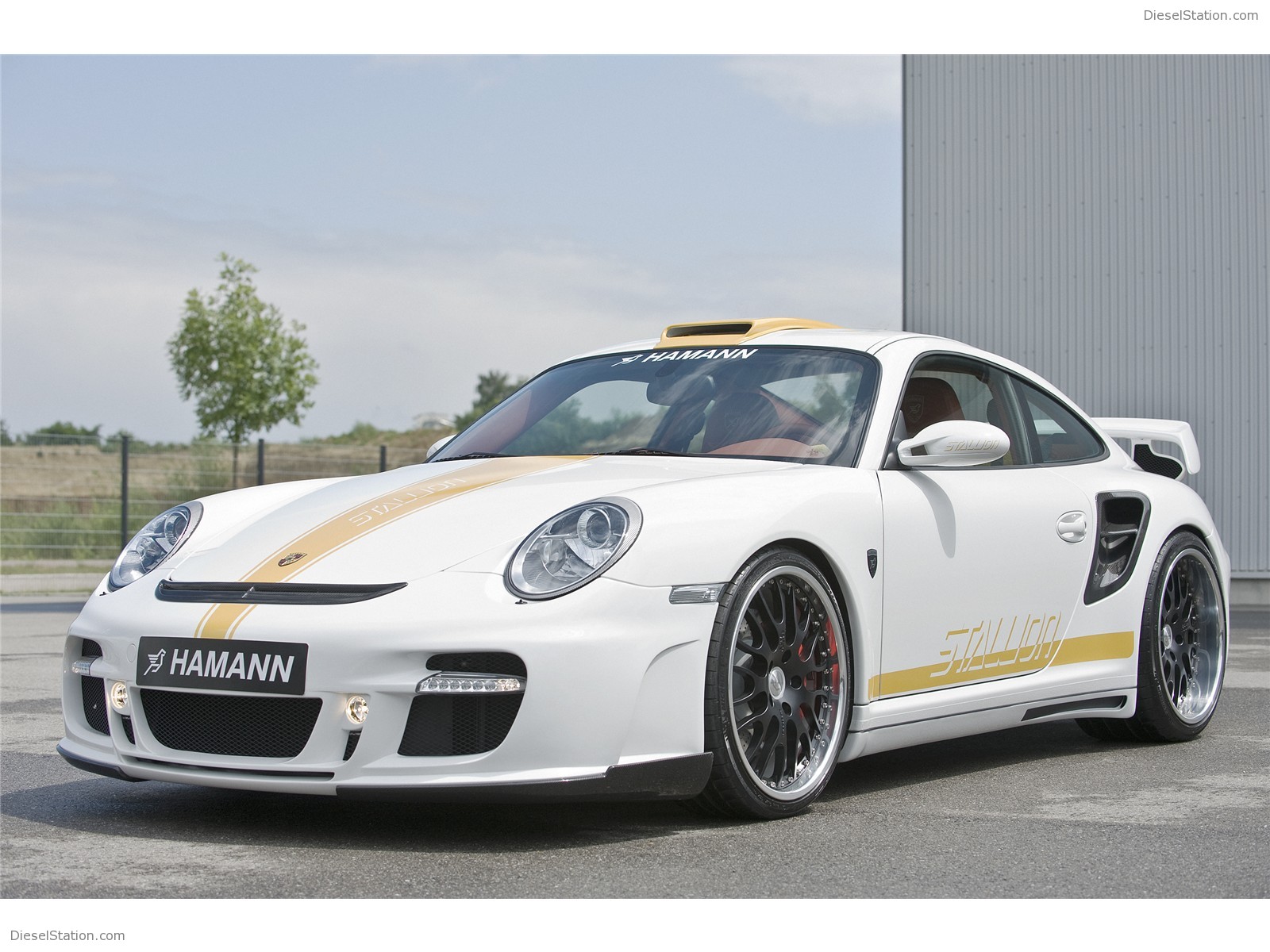 Hamann Stallion