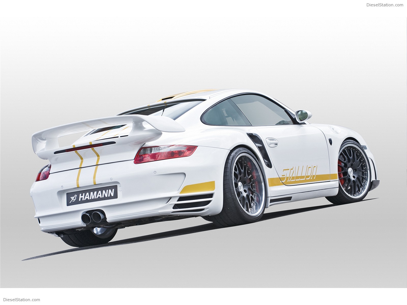 Hamann Stallion
