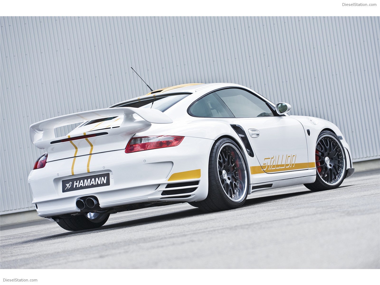 Hamann Stallion