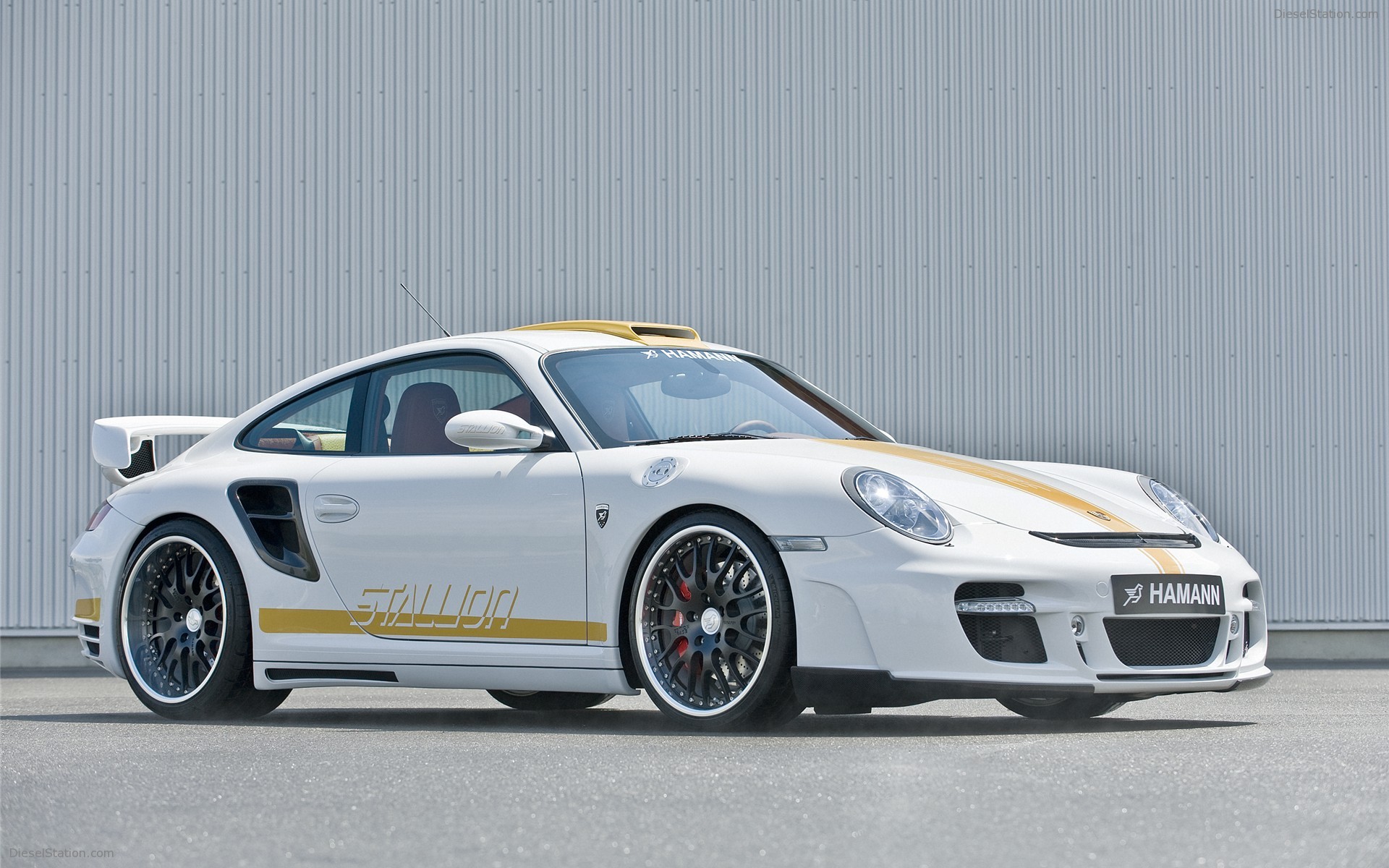 Hamann Stallion
