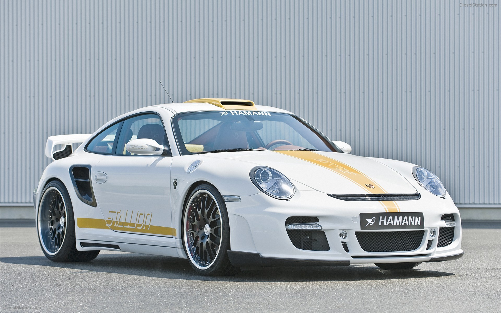Hamann Stallion