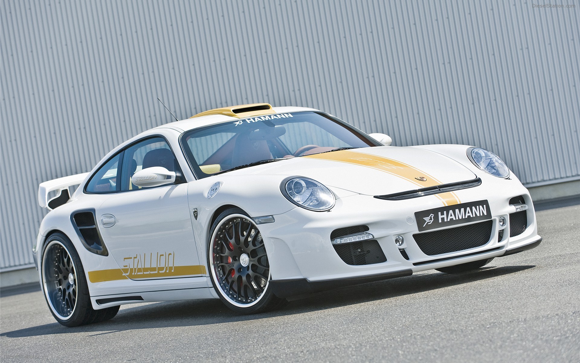 Hamann Stallion