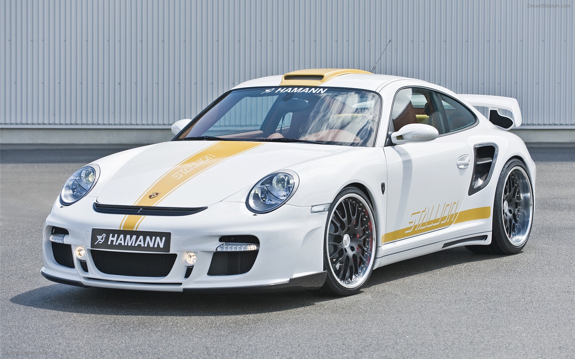 Hamann Stallion