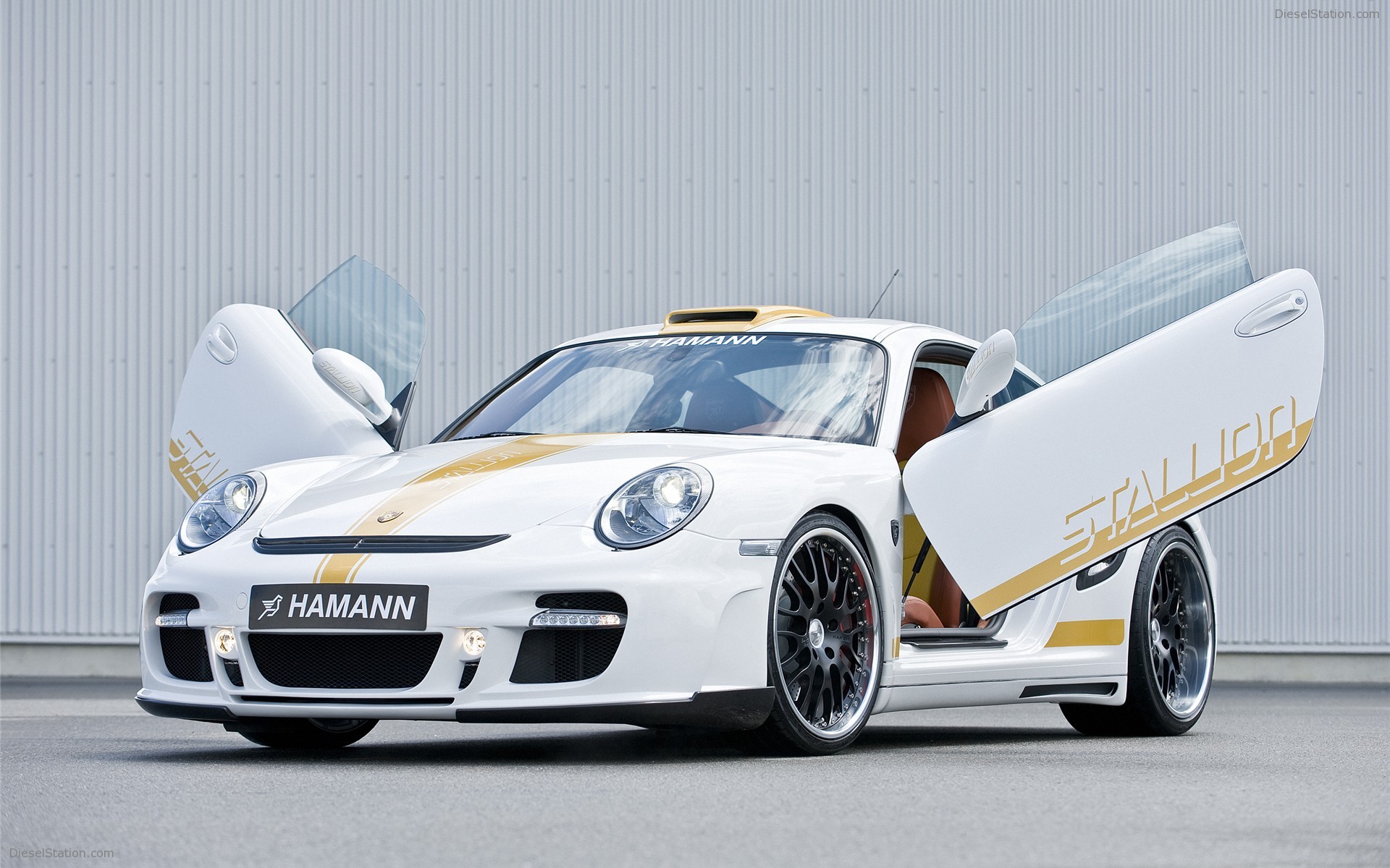 Hamann Stallion