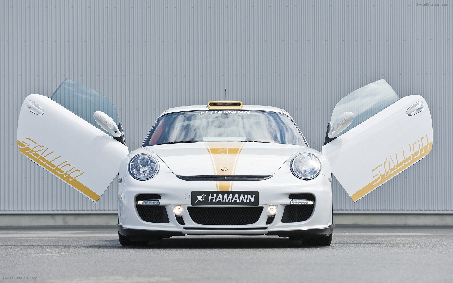 Hamann Stallion