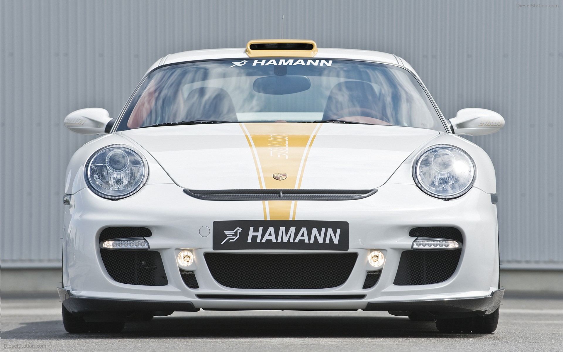 Hamann Stallion