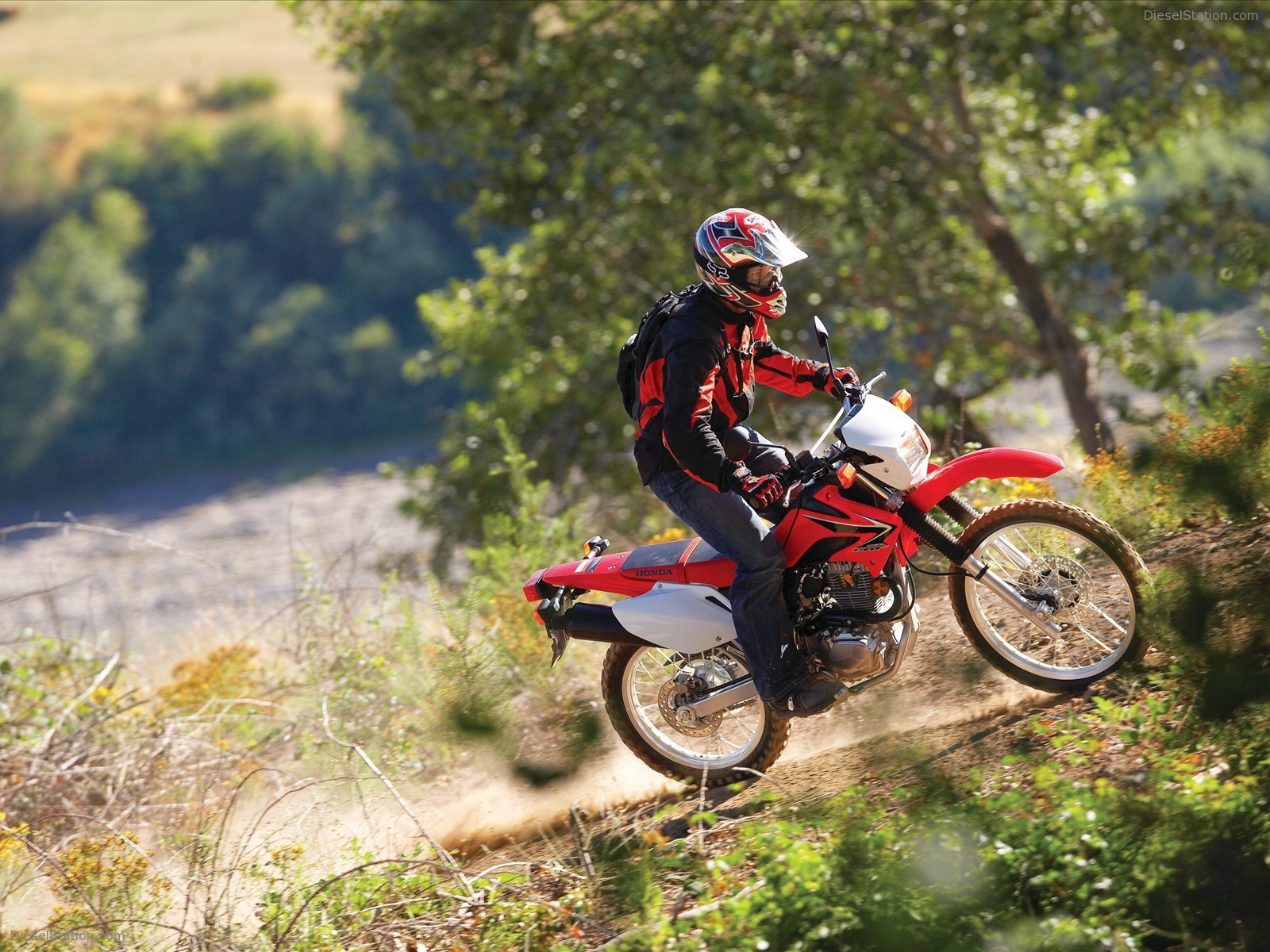 2009 Honda CRF230L