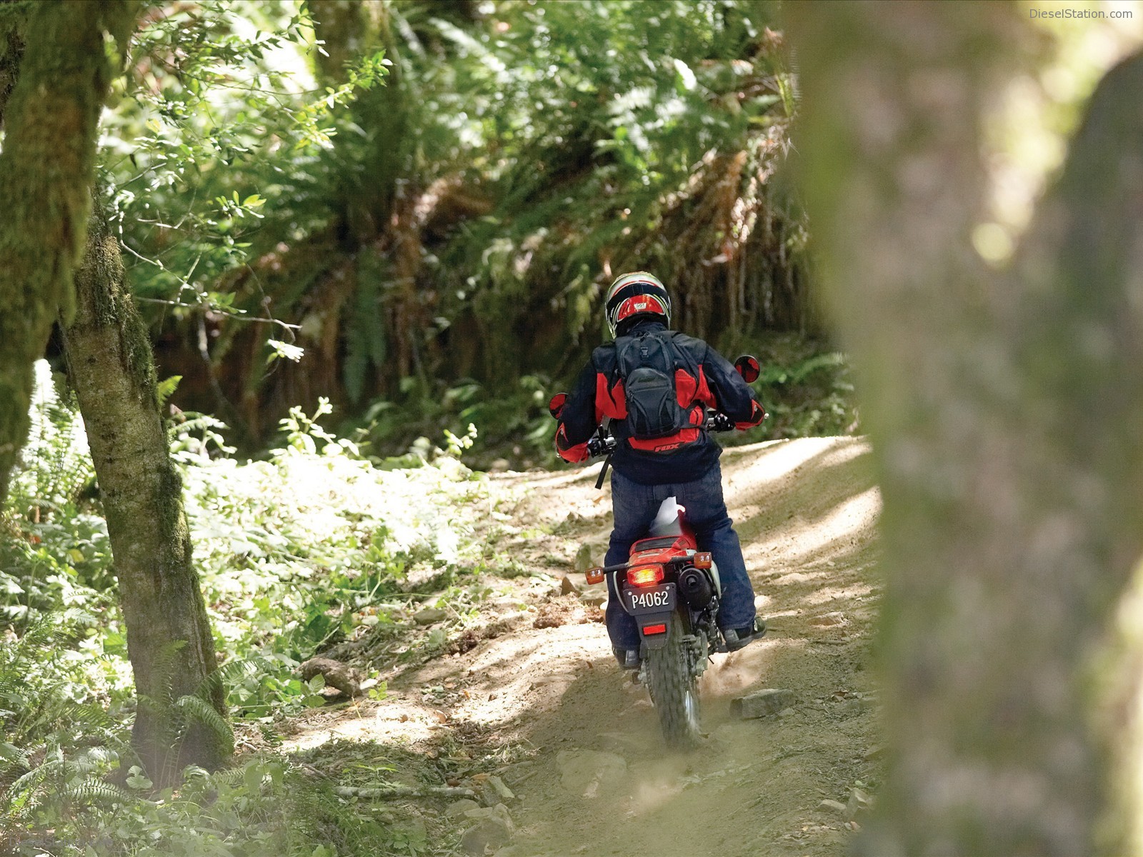 2009 Honda CRF230L