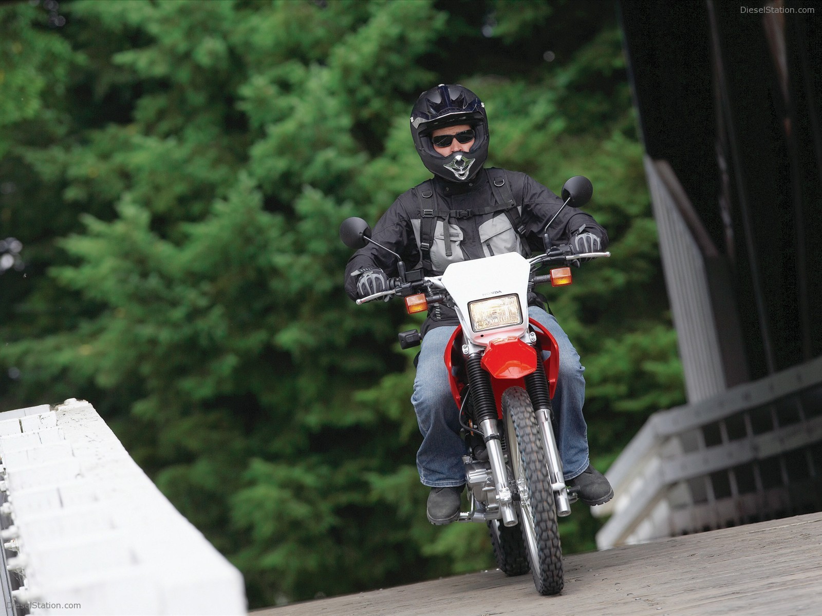 2009 Honda CRF230L